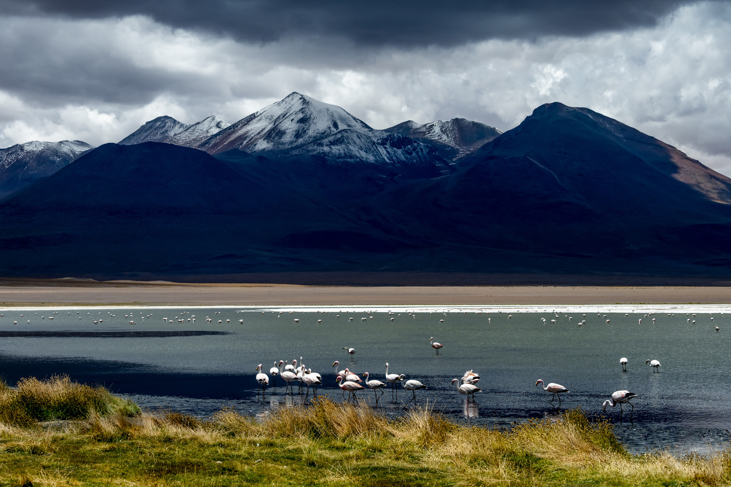 Пейзажный фотограф, Фотографии дикой природы. Foto-Zuev фотография как искусство