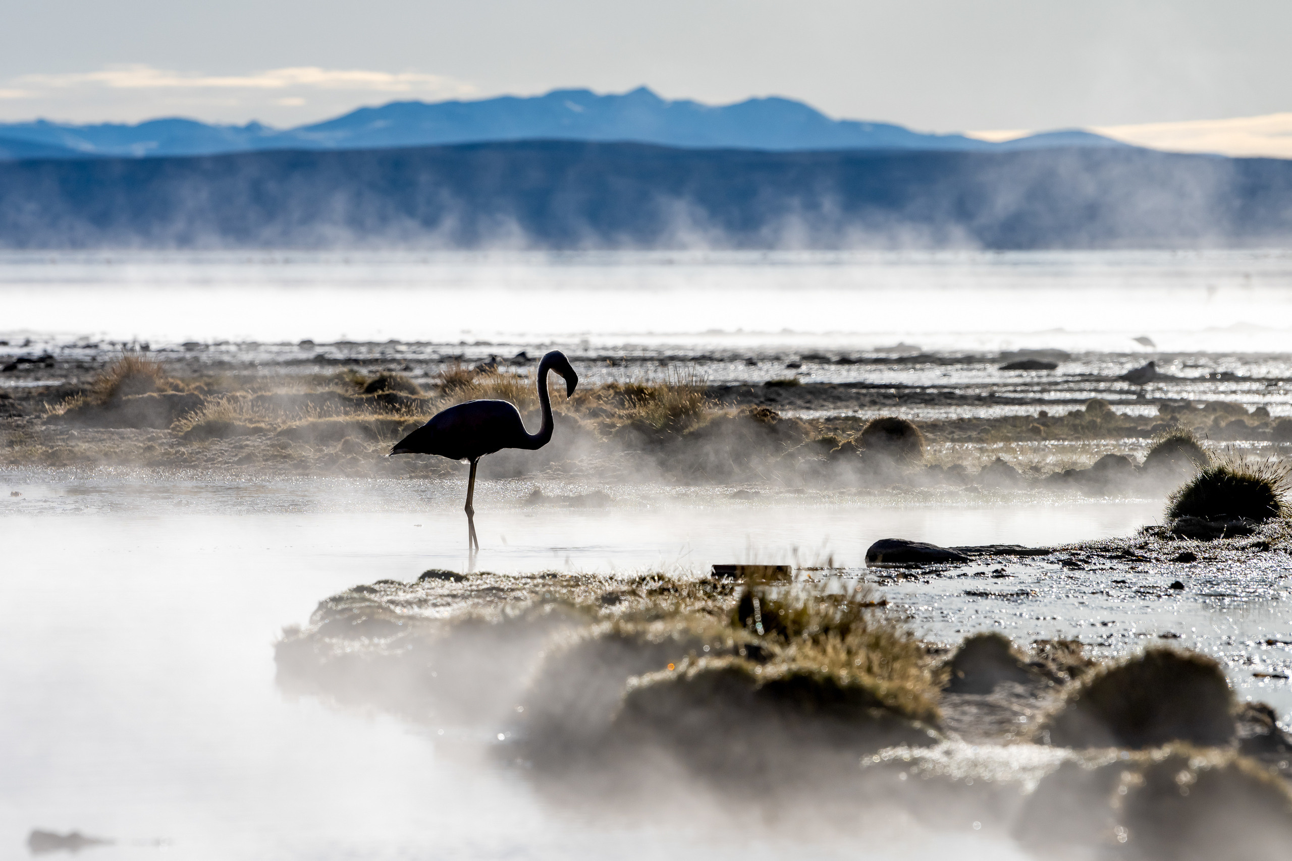 Анды, Альтиплано, Уйуни, Боливия, Пейзаж, Fotozuev, fotozuev, фотограф Зуев Андрей