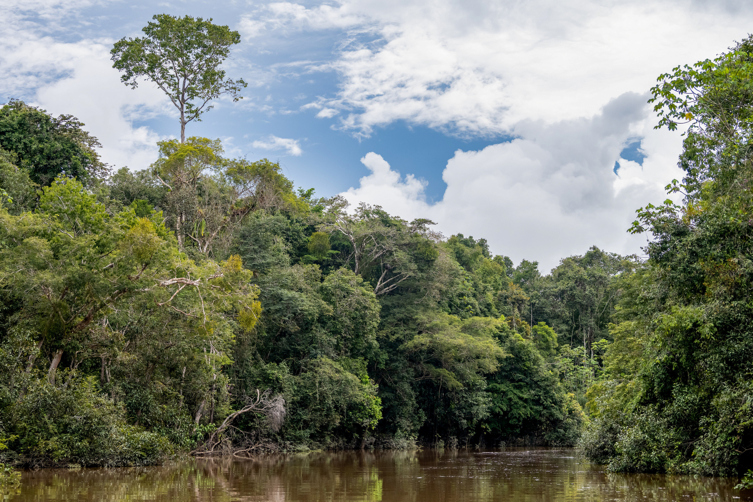 Амазония. Foto-Zuev фотография как искусство