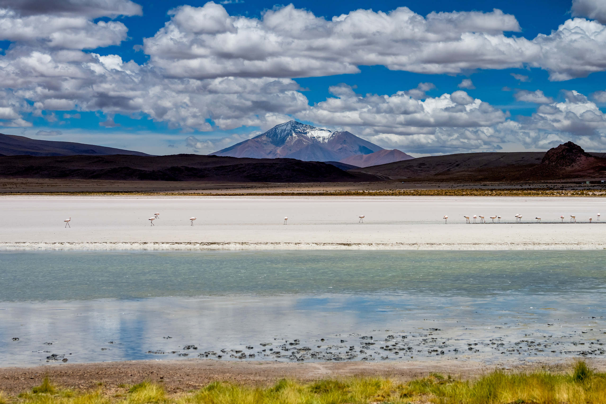 Пейзажный фотограф, Фотографии дикой природы. Foto-Zuev фотография как искусство