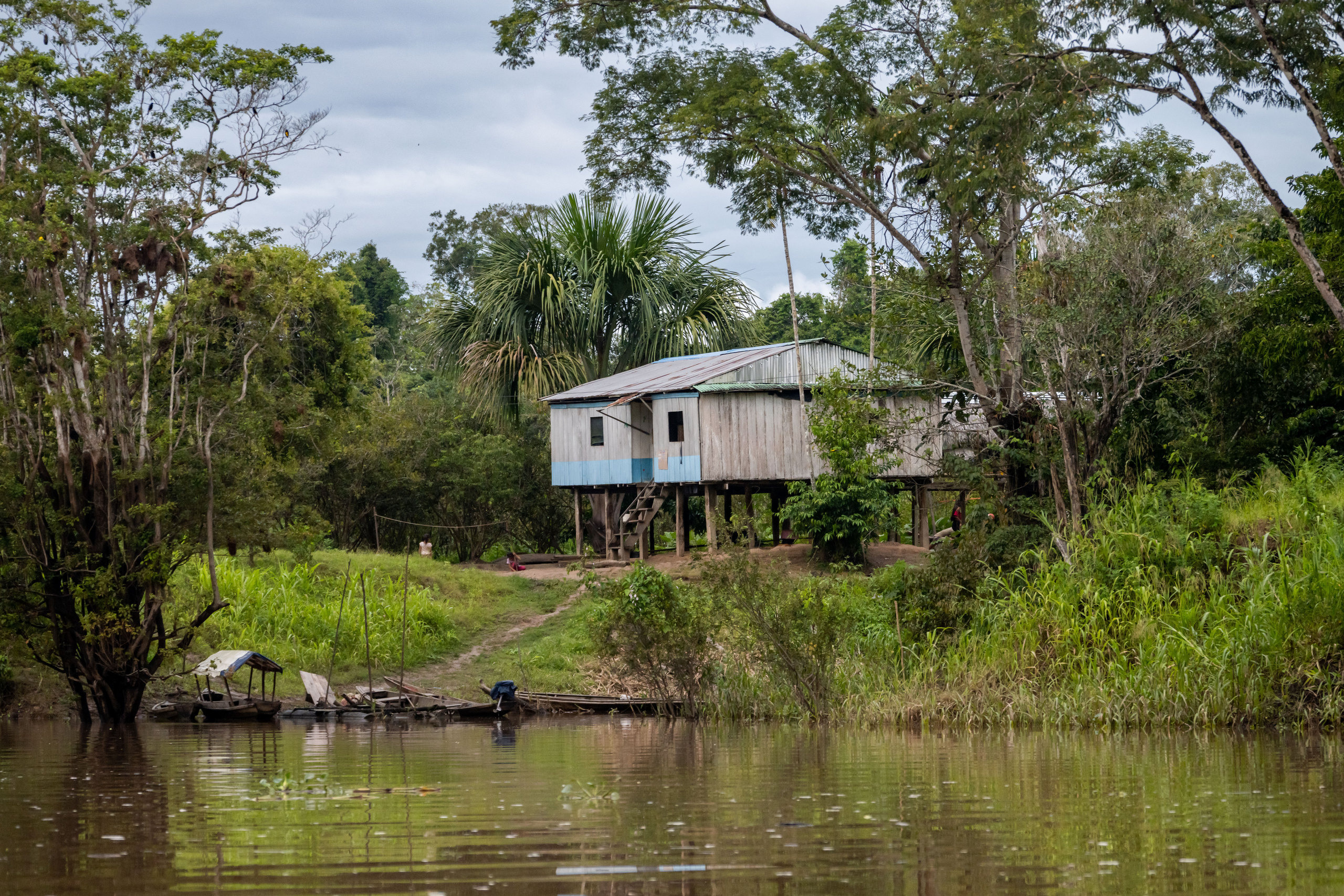 Амазонка. Foto-Zuev фотография как искусство