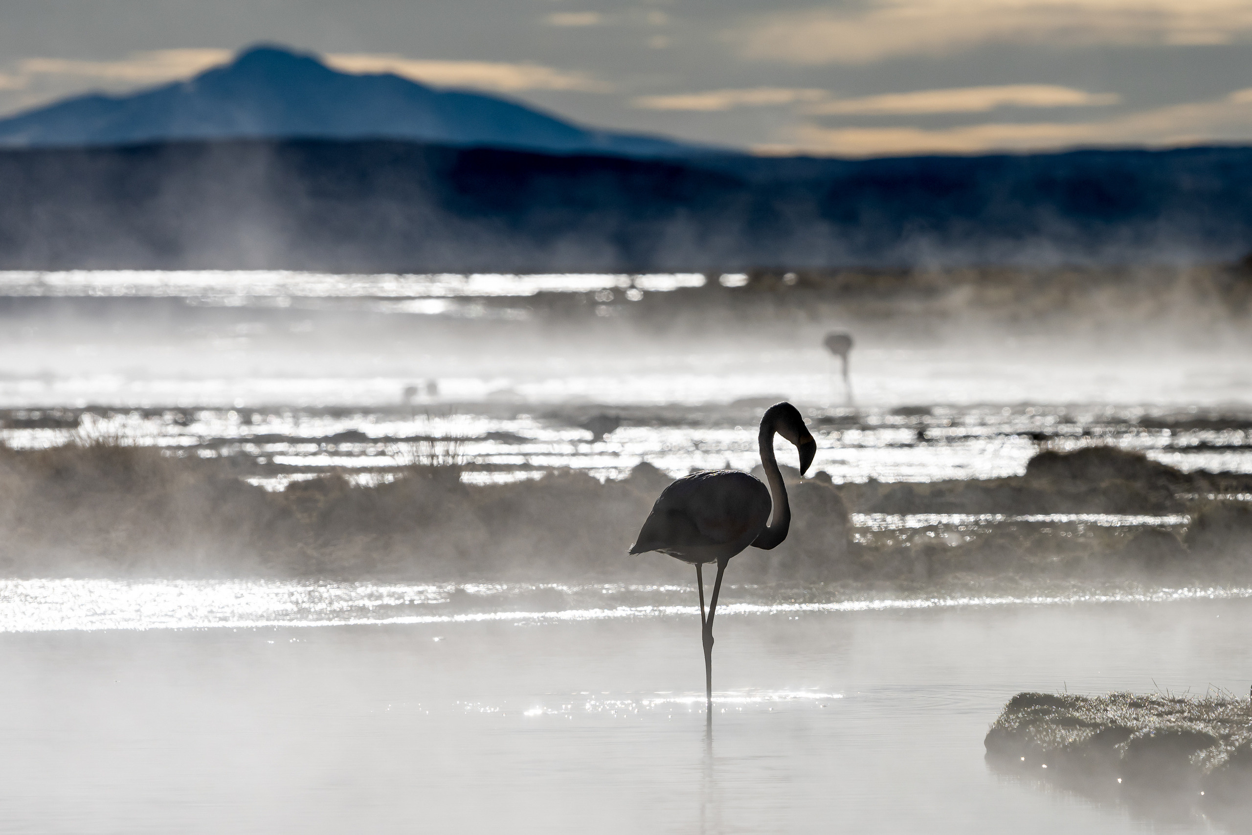 Пейзажный фотограф, Фотографии дикой природы. Foto-Zuev фотография как искусство