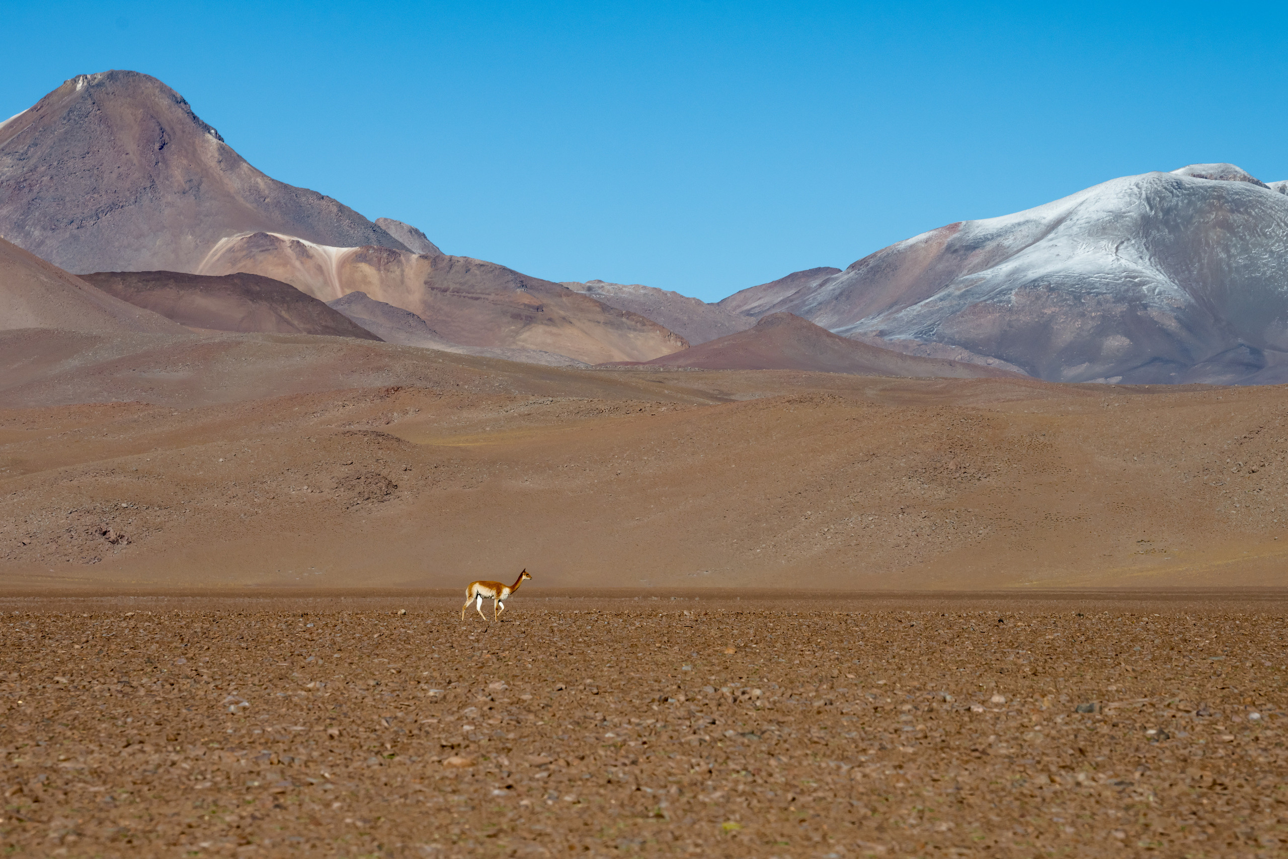Анды, Альтиплано, Уйуни, Боливия, Пейзаж, Fotozuev, fotozuev, фотограф Зуев Андрей