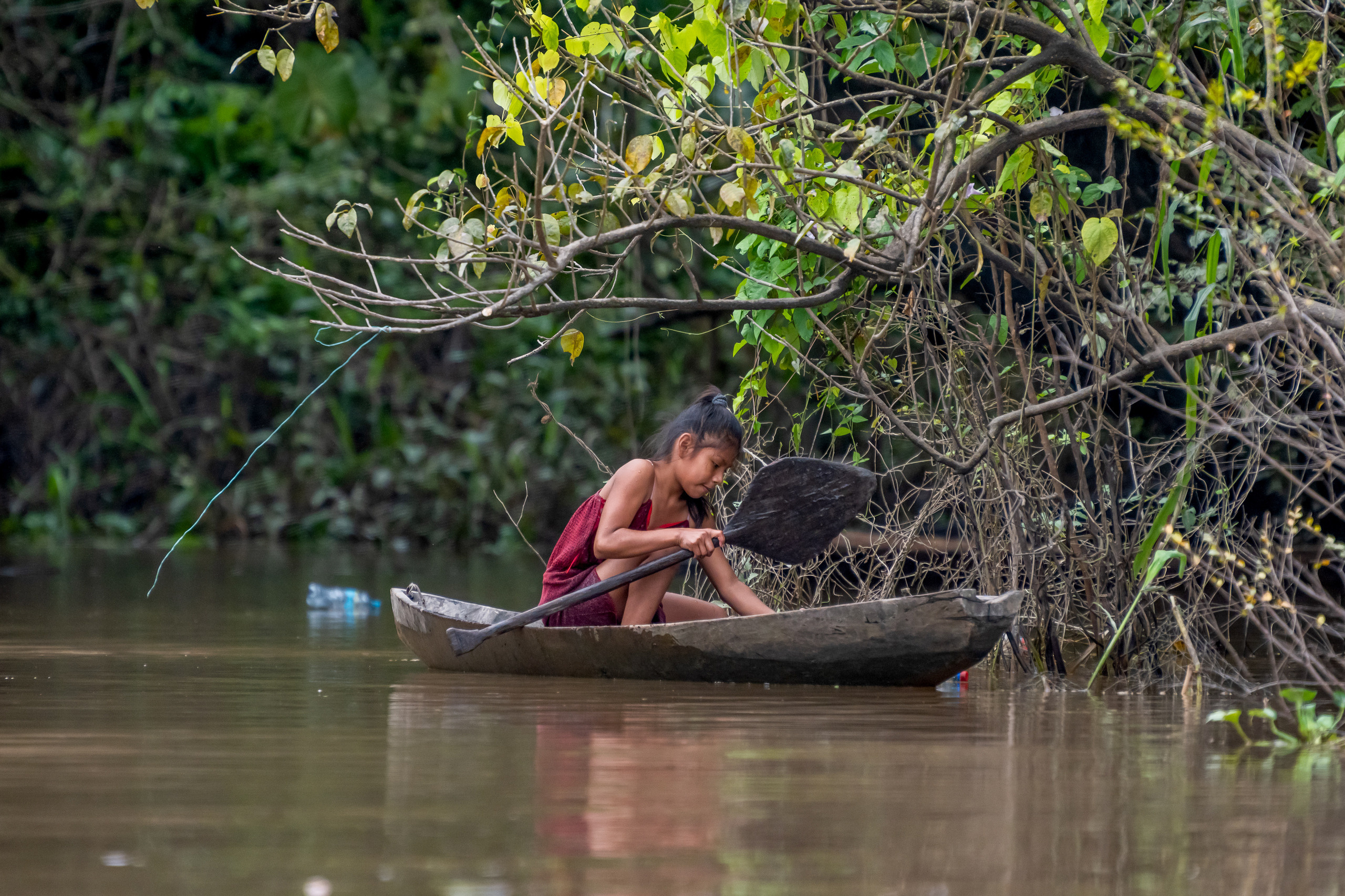 Амазония. Foto-Zuev фотография как искусство