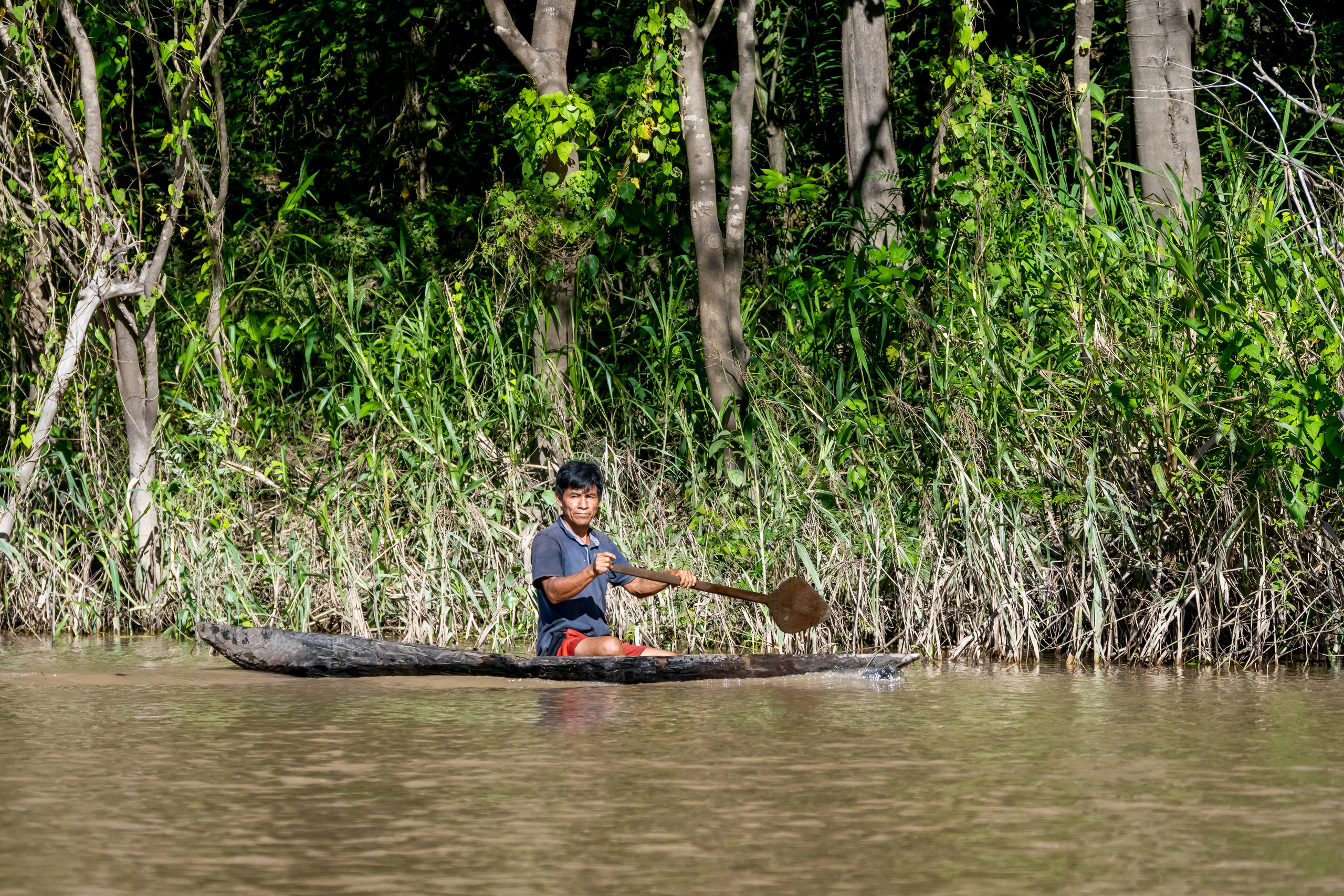 Амазония. Foto-Zuev фотография как искусство