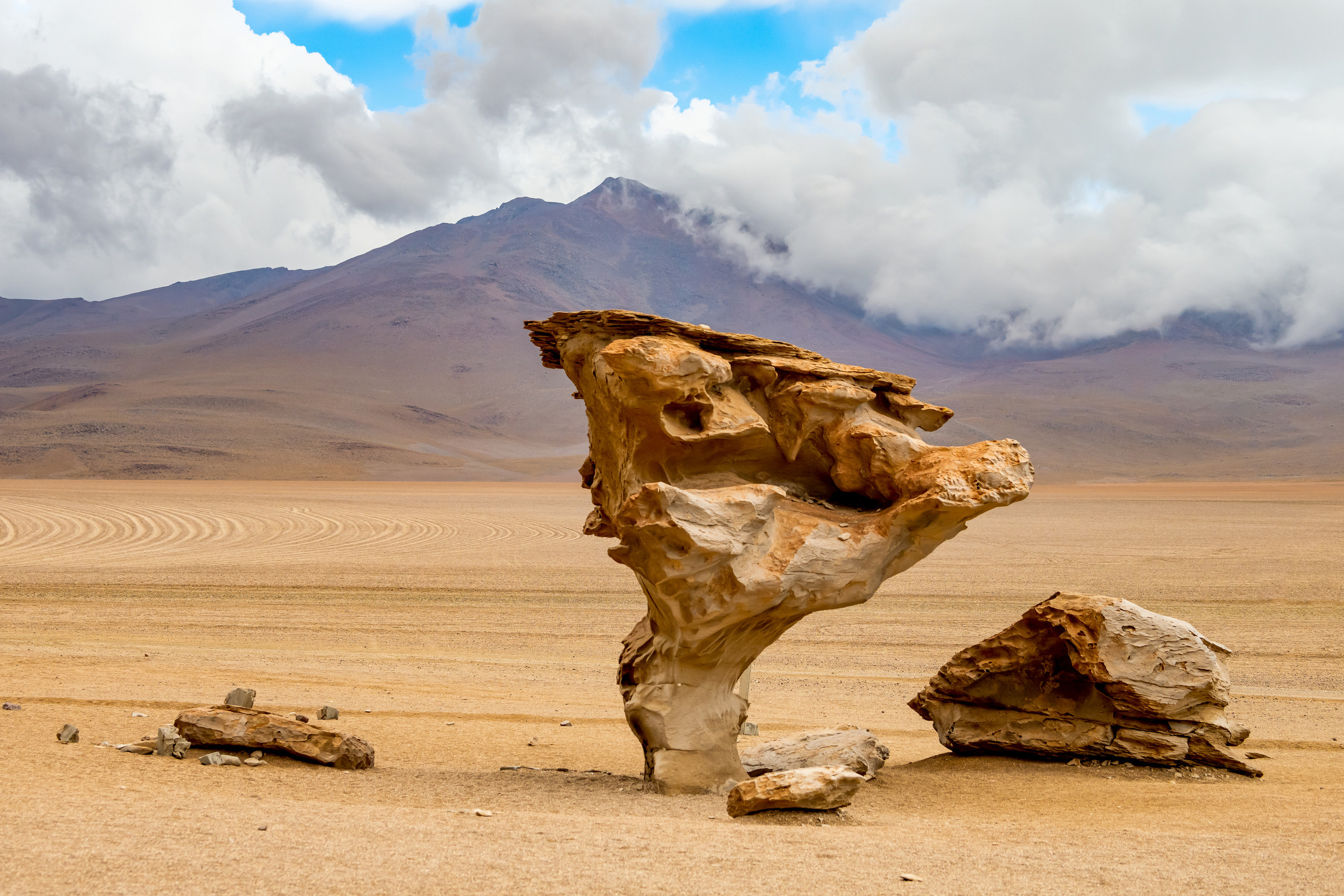 Анды, Альтиплано, Уйуни, Боливия, Пейзаж, Каменное дерево, Fotozuev, fotozuev