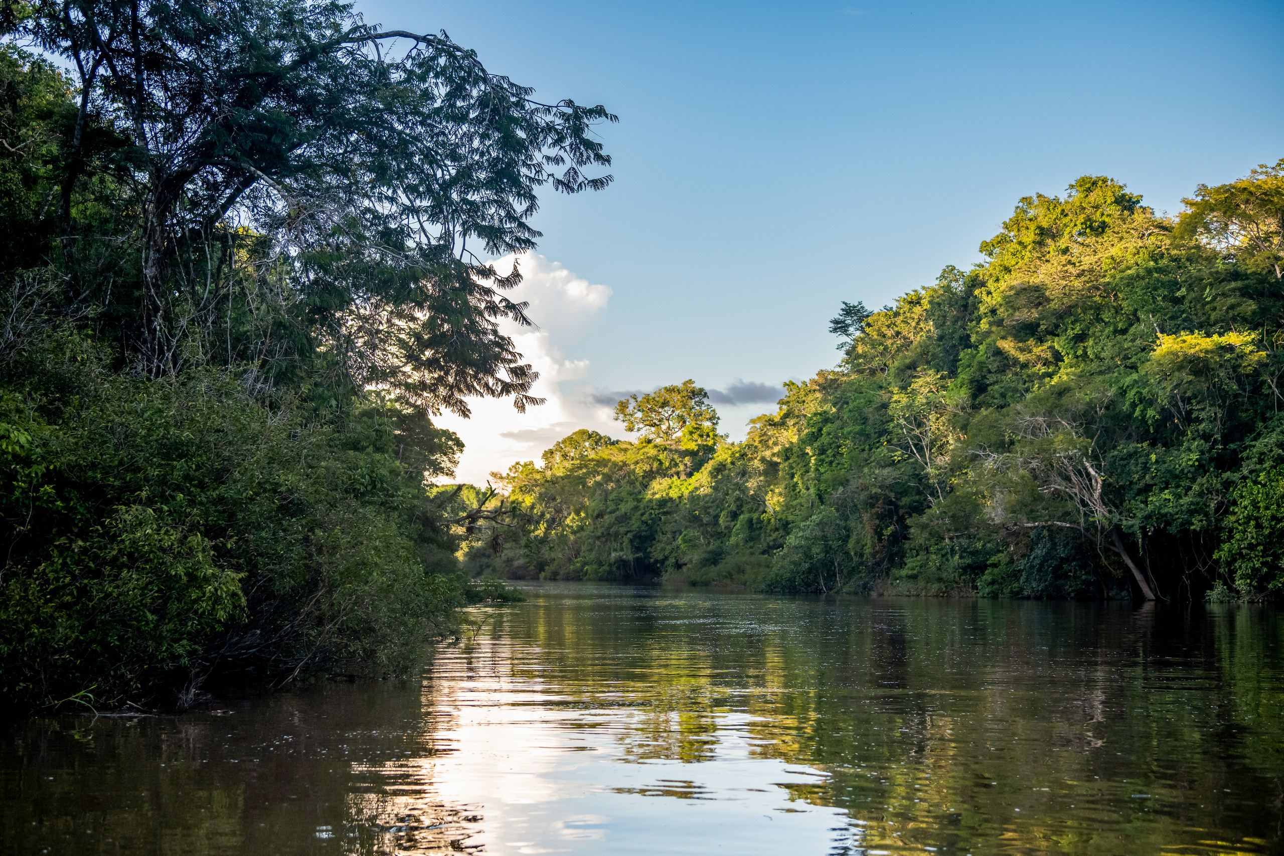 Амазония. Foto-Zuev фотография как искусство