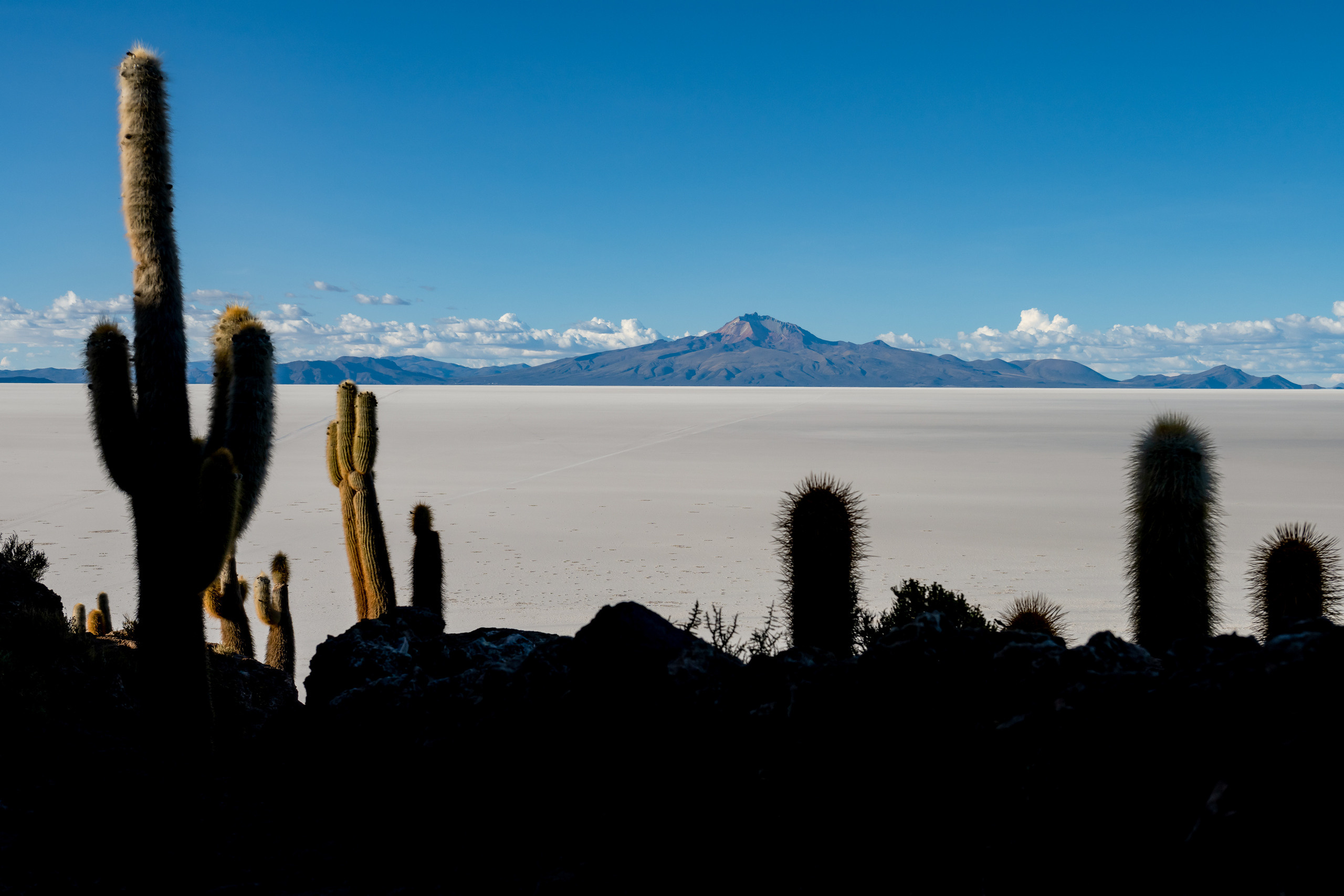 Пейзажный фотограф, Фотографии дикой природы. Foto-Zuev фотография как искусство