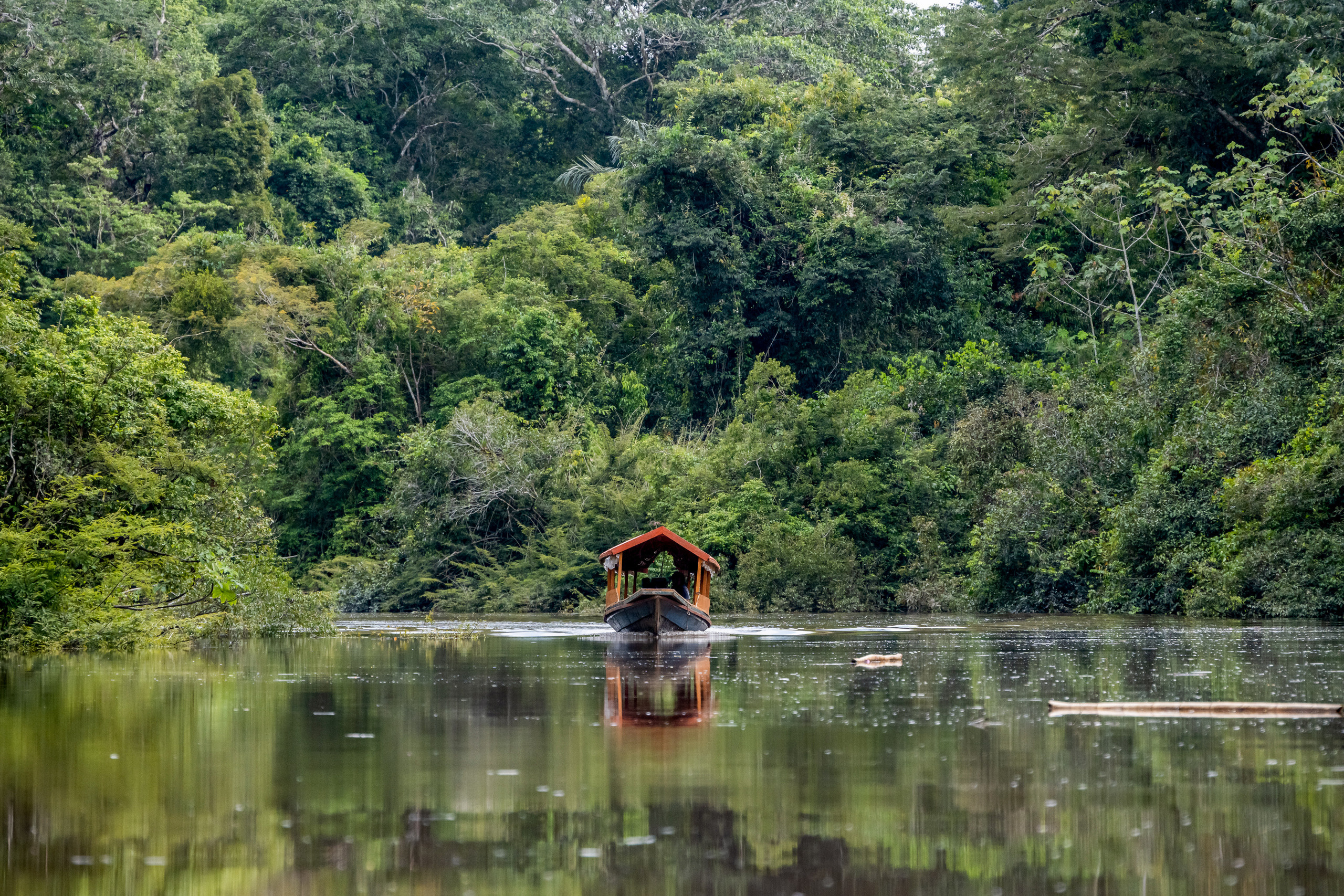Амазония. Foto-Zuev фотография как искусство