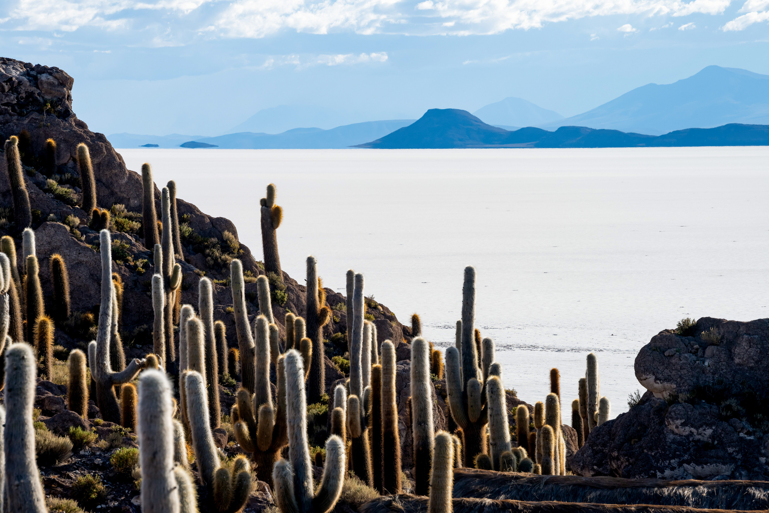 Альтиплано, Уйуни, Юоливия, Солончак, Кактус, Пейзаж, Fotozuev, fotozuev, фотограф Зуев Андрей