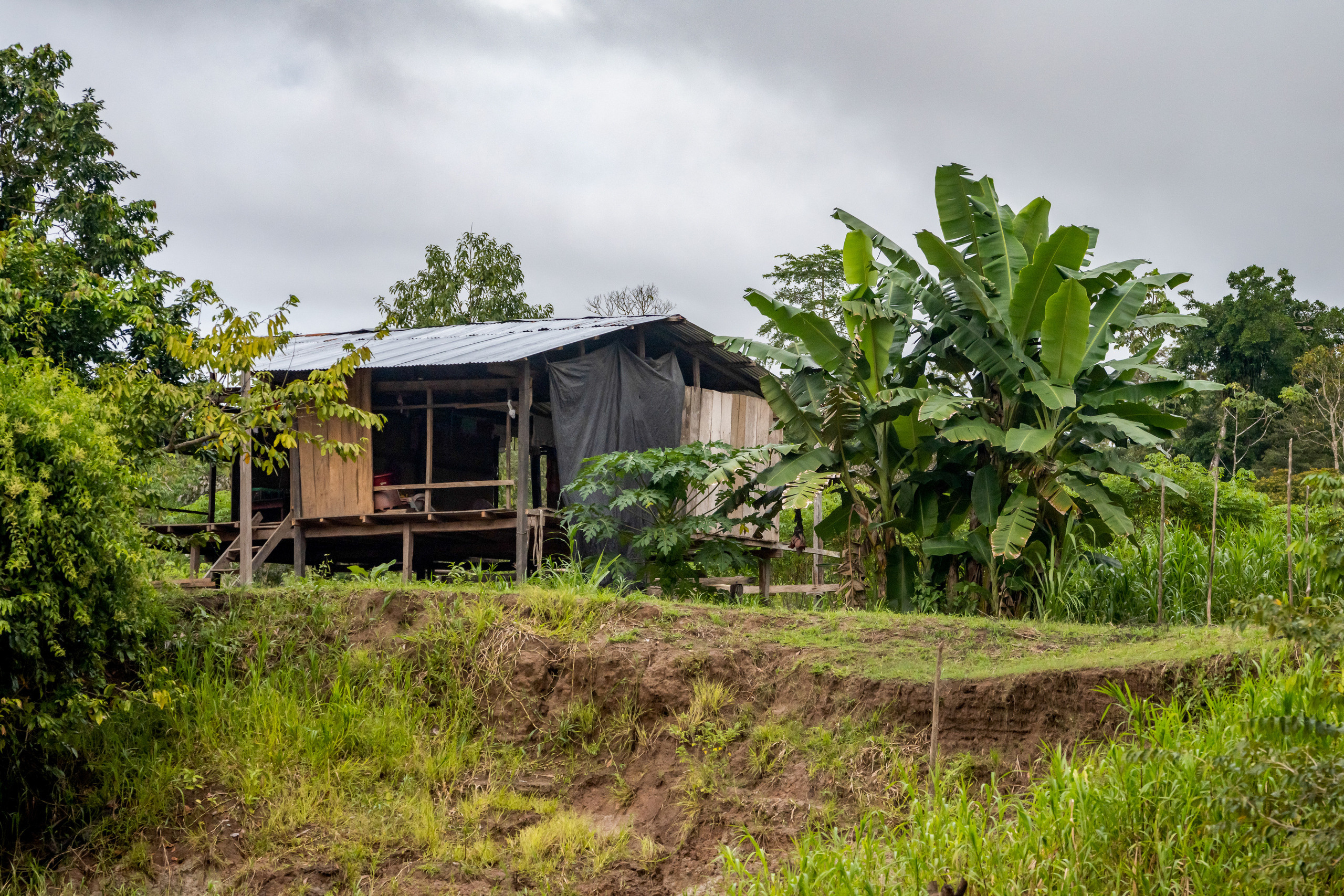 Амазонка. Foto-Zuev фотография как искусство