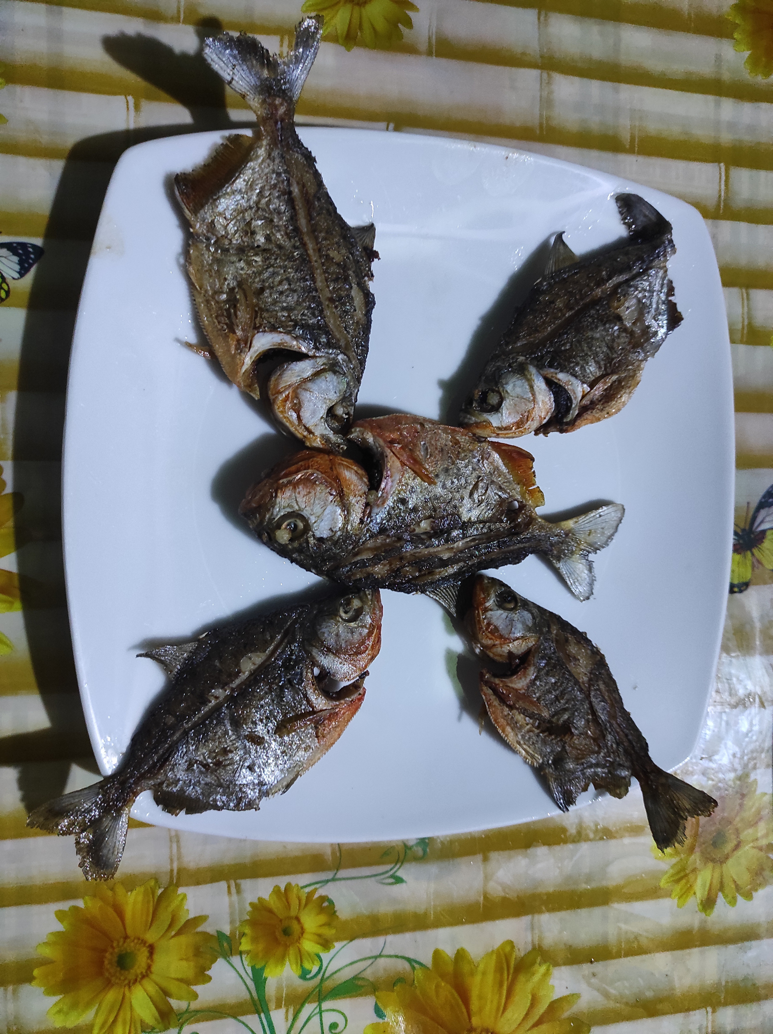 Амазонка. Foto-Zuev фотография как искусство