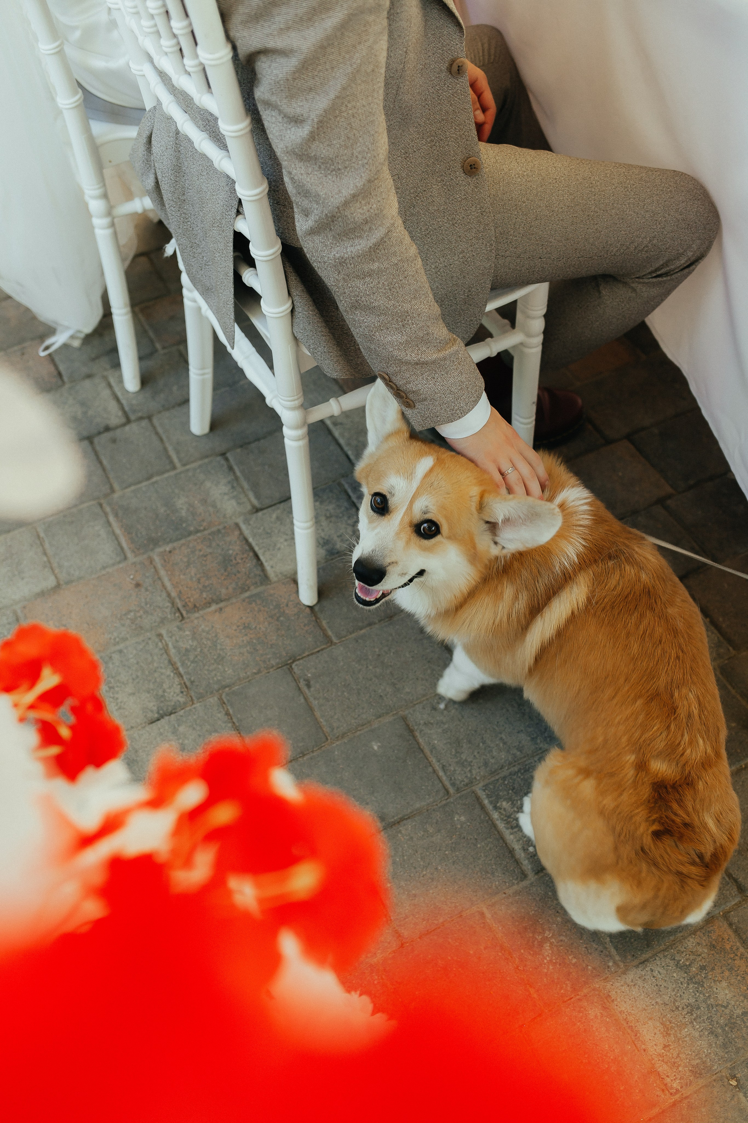 D & D. Фотограф Ольга Сапронова. Свадебный фотограф Ольга Сапронова