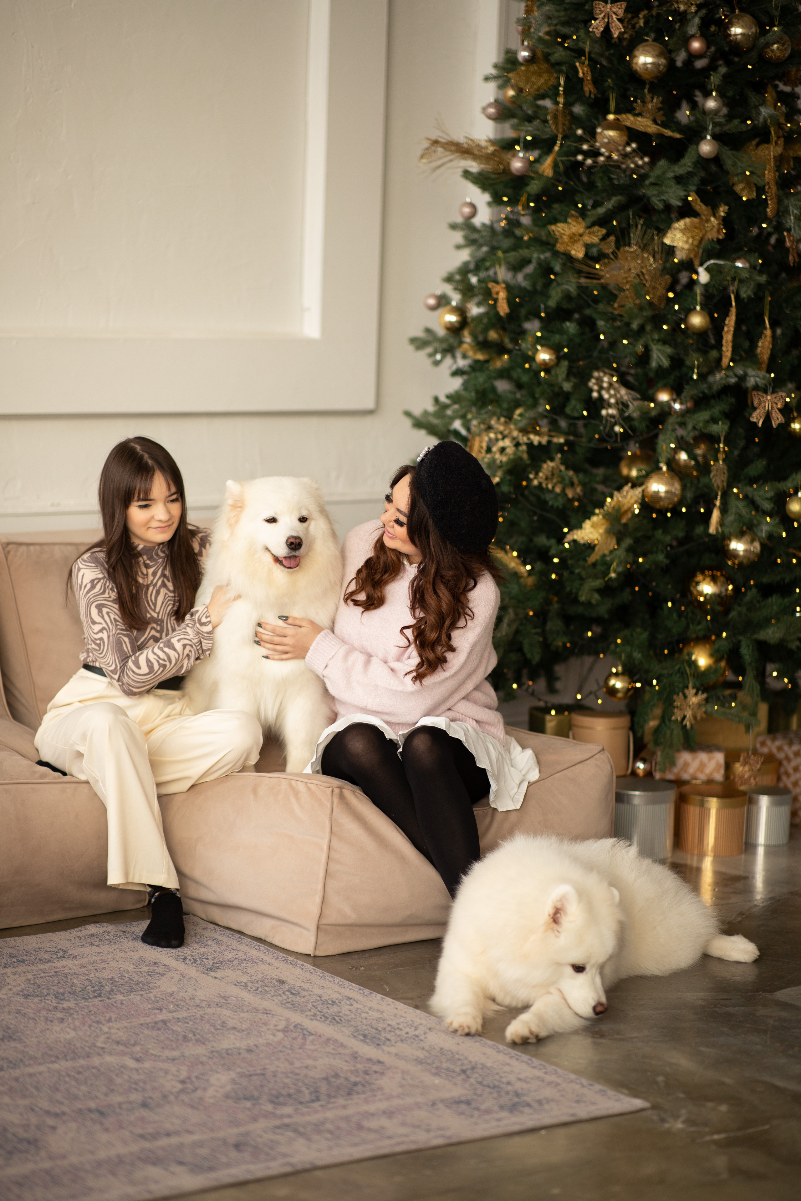 Фотосессия с животными в студии. Фотопроекты, фотодни и фотосессии в Москве