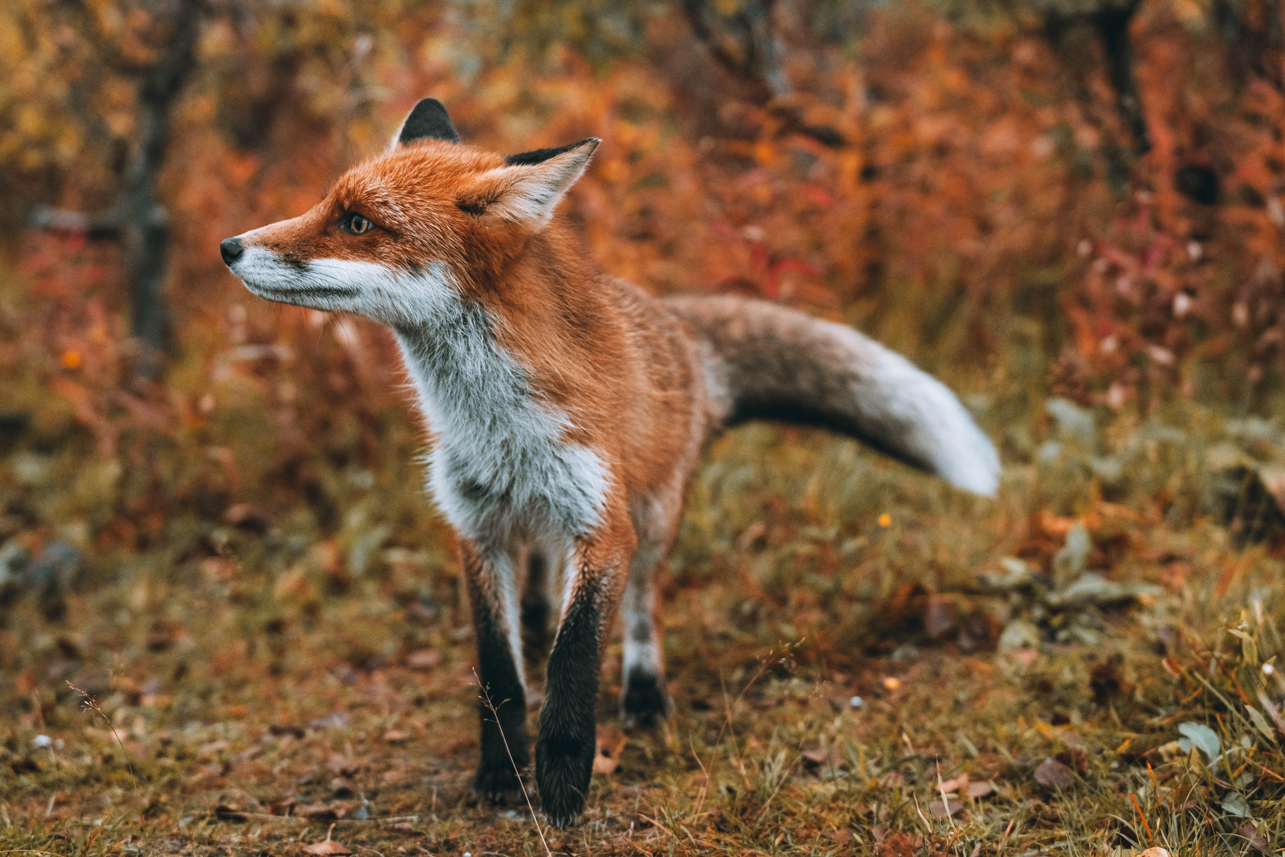 СЕВЕР. Event фотограф Степанова Александра