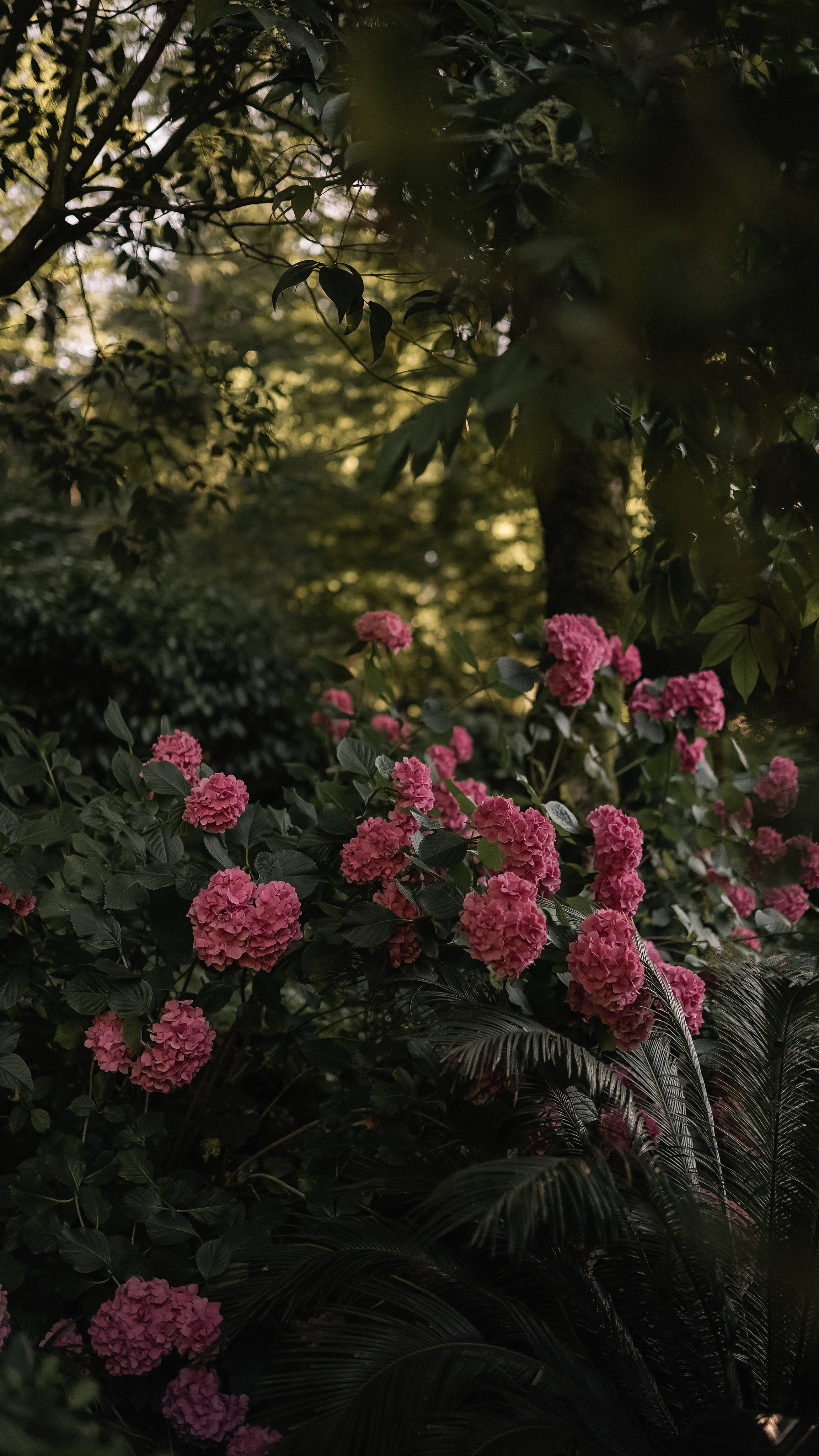 Мамай-Кале — Ресторан в лесу. Милана Довгаль - семейный фотограф и видеограф  в Адлере и Сочи