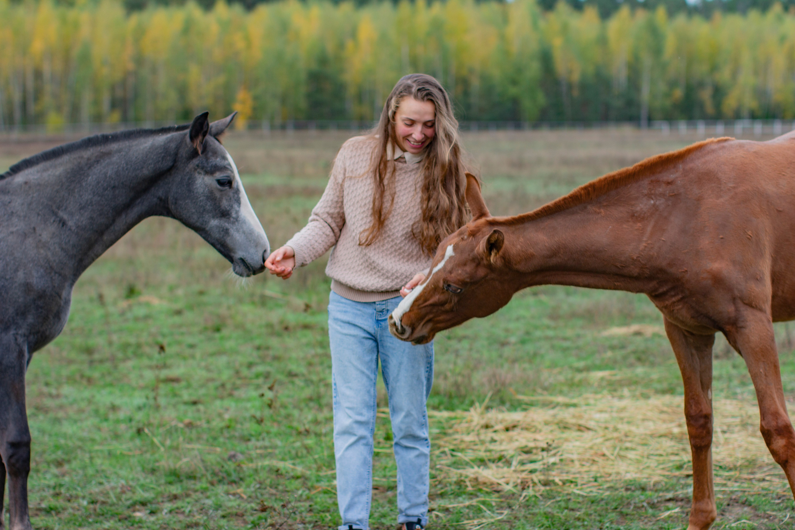 С лошадьми. Фотограф в Москве и в Московской области Сандра