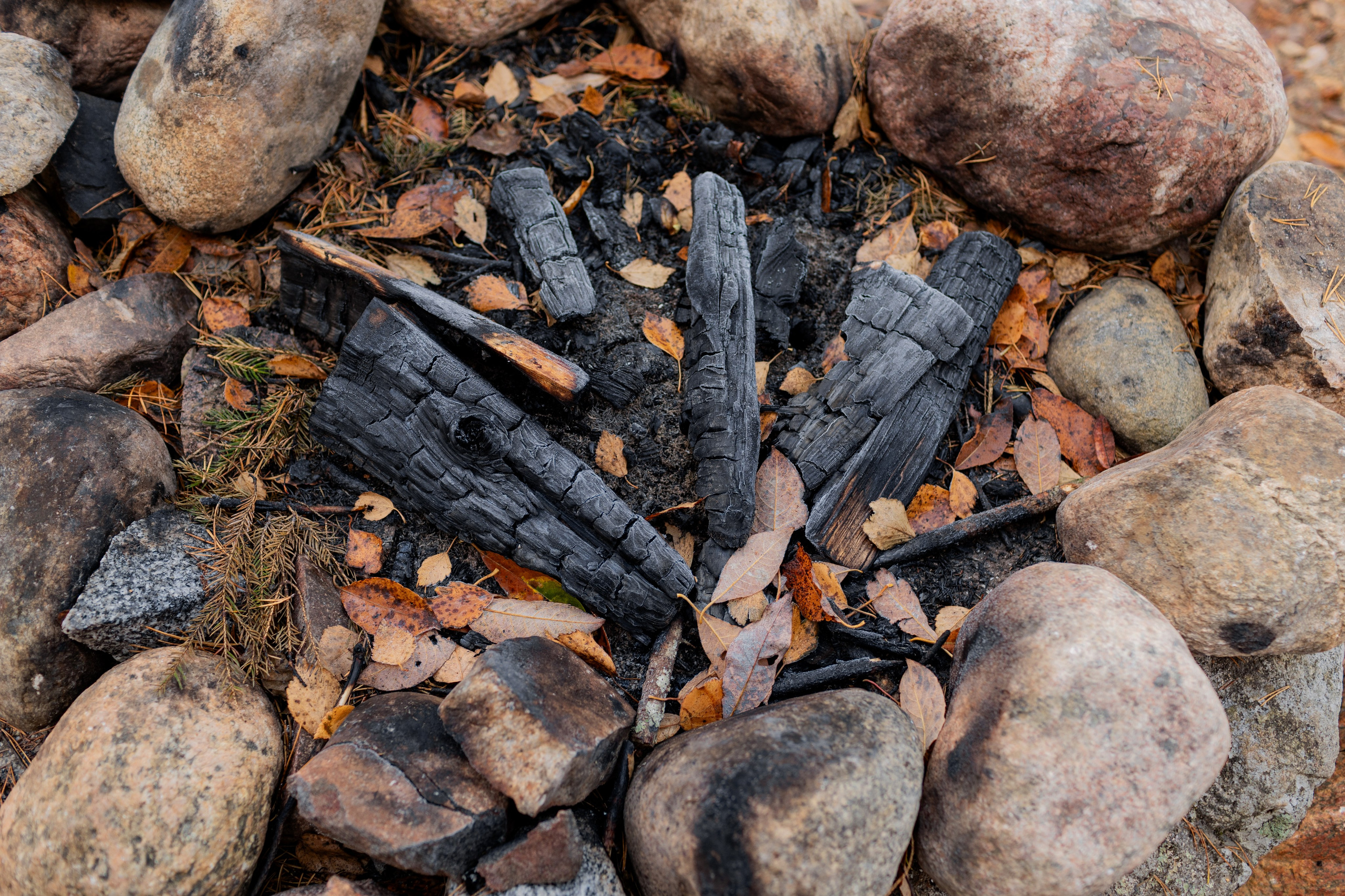 Съемка для глемпинг-отеля Хюгге Кэмп. Природа. Саша Кушнерова Фотографии. Sasha Kushnerova Photos