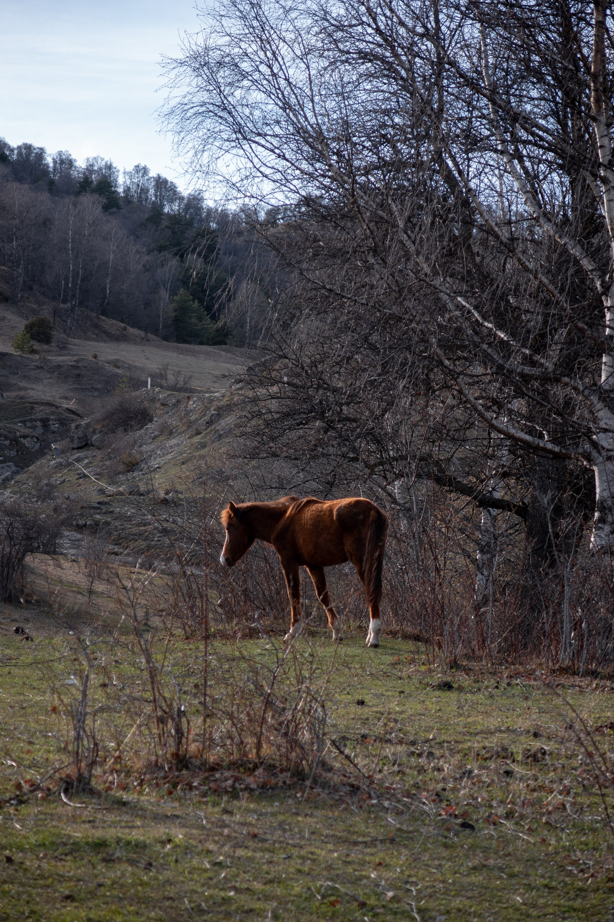 Поездка в Дагестан (село Гуниб) на съемку трейла Wild Trail. Павел Шарапов | Фотограф | Москва