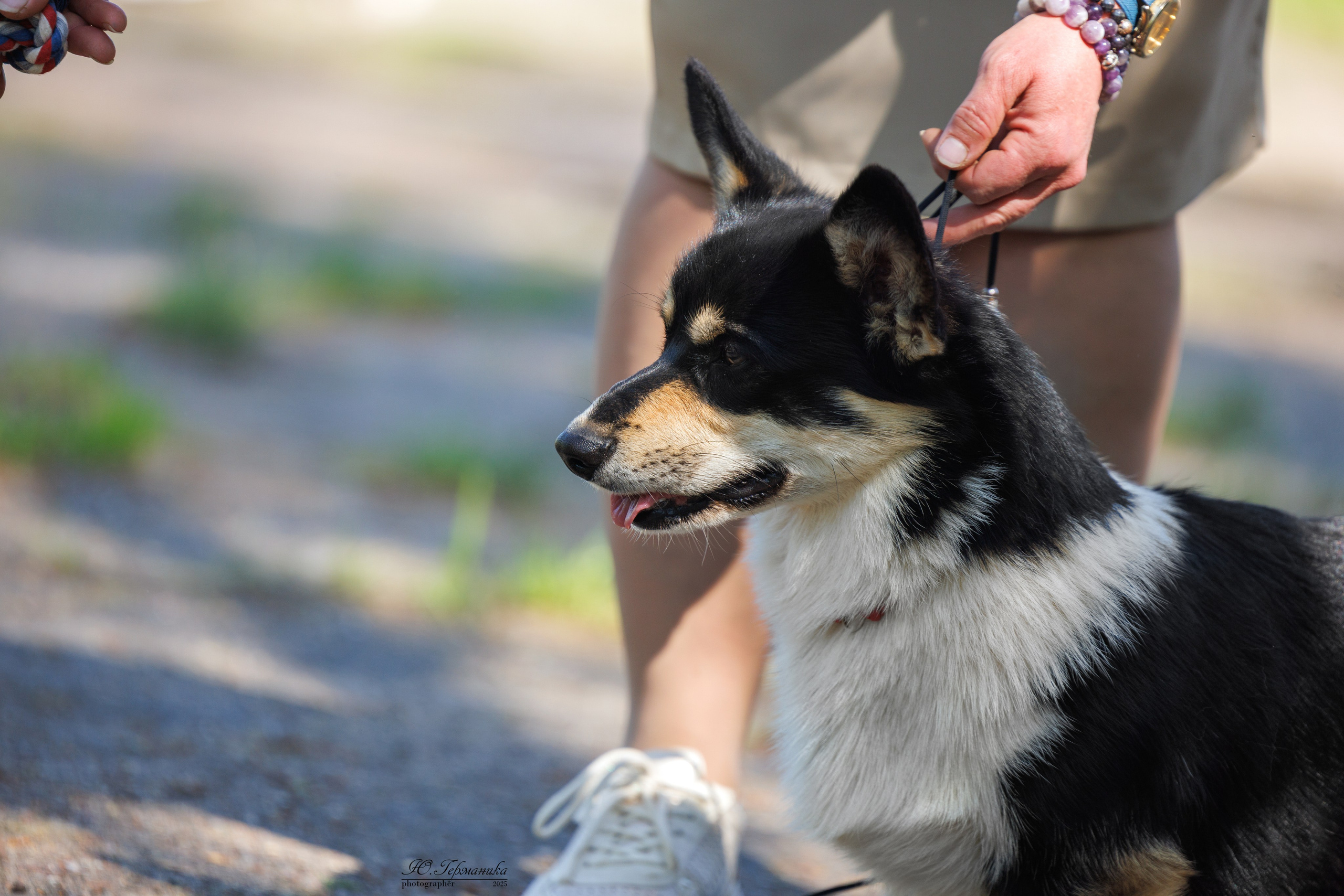 Тверь 24.05.2025. Фотограф-анималист Юлия Германика