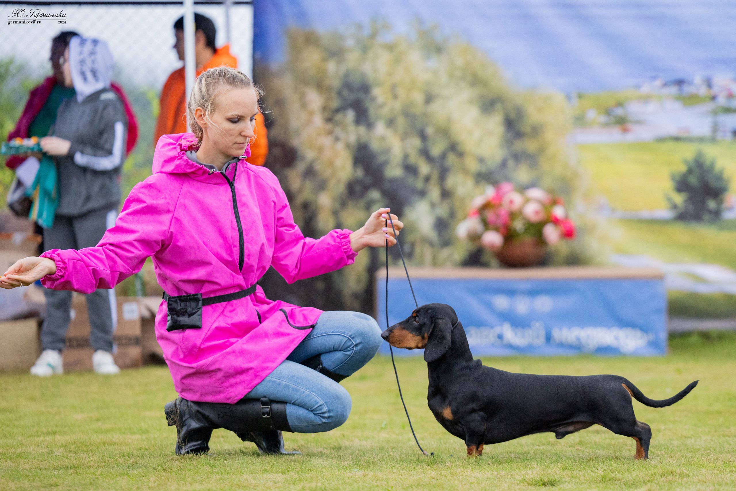 Ярославль 21.07.24 и Балашиха 13.07.24. Фотограф-анималист Юлия Германика