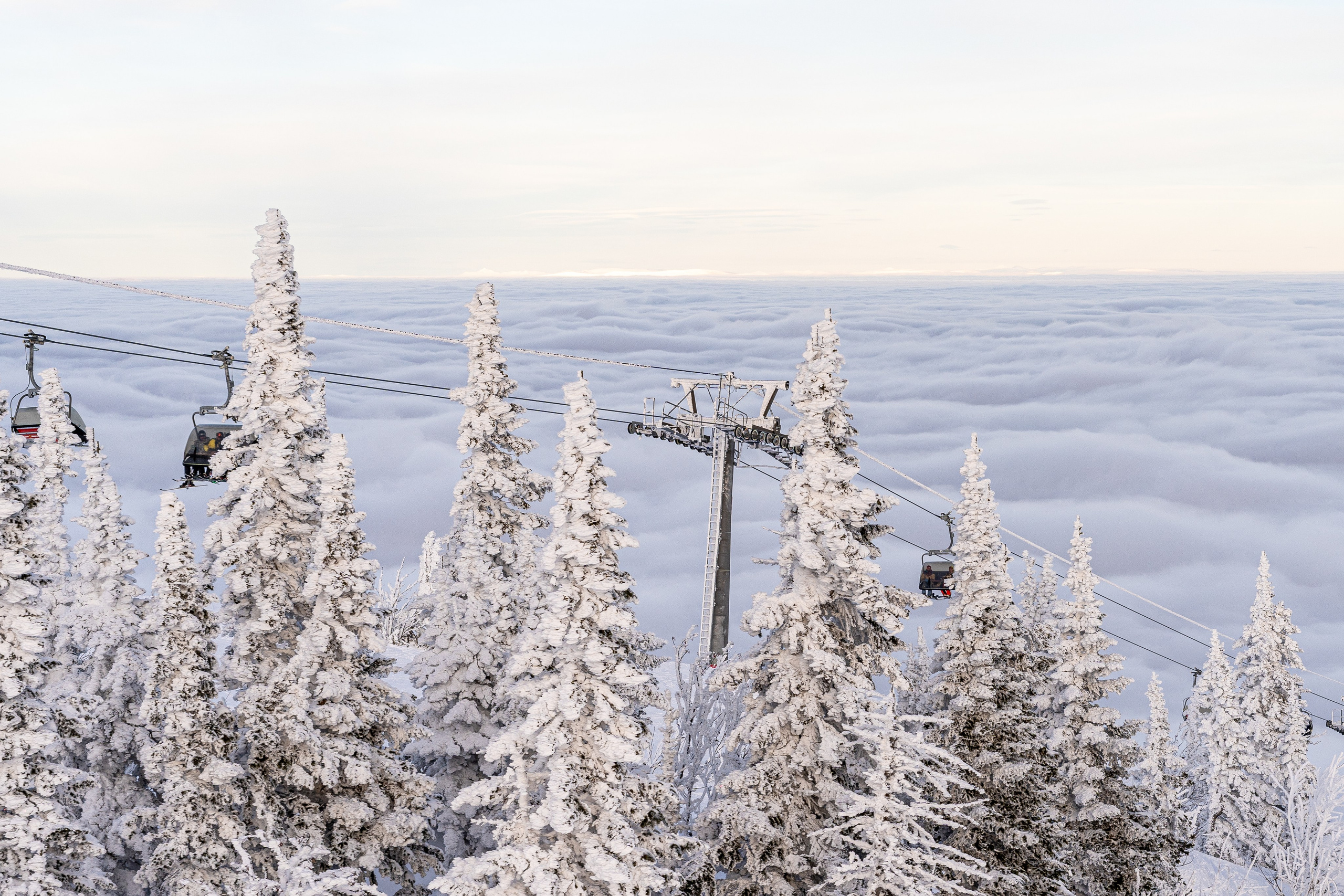 Джой 6.12. Анастасия Паршукова — фотограф Шерегеш Новосибирск