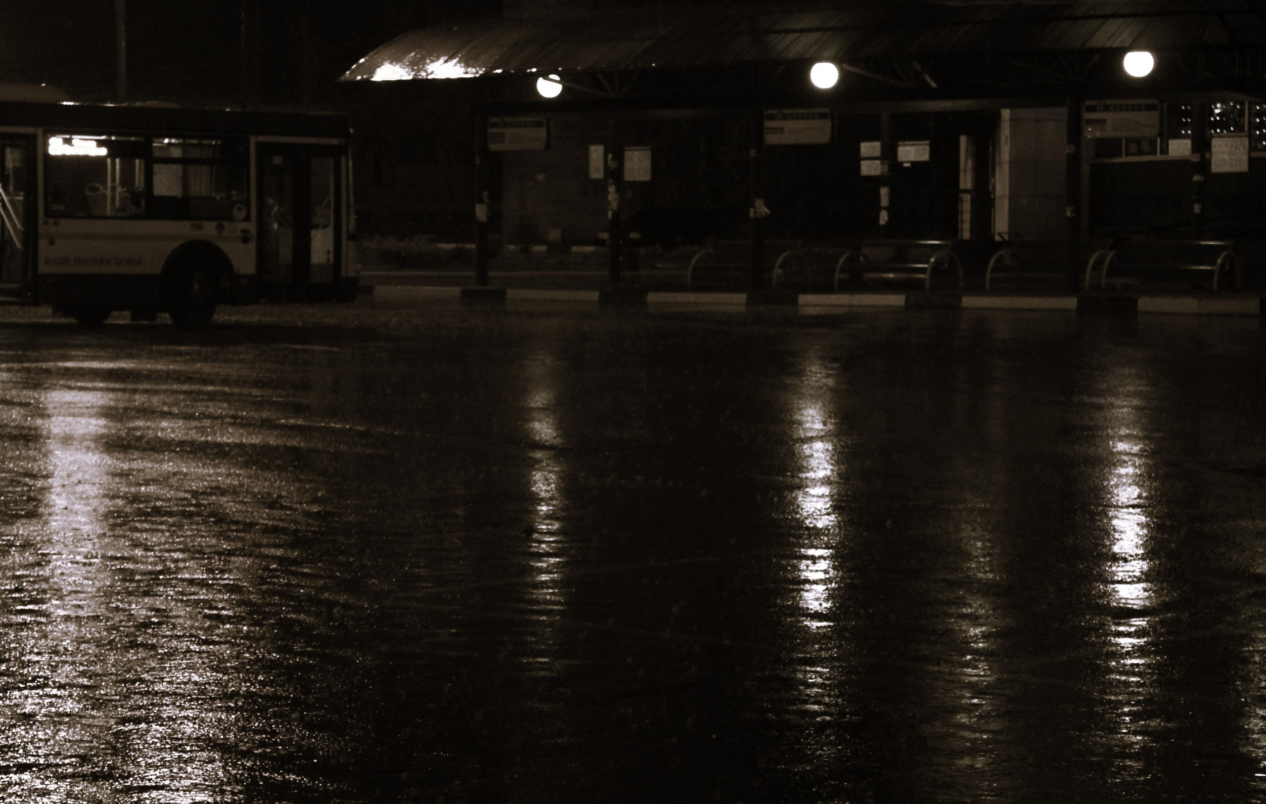 Всё, что я вижу вокруг себя