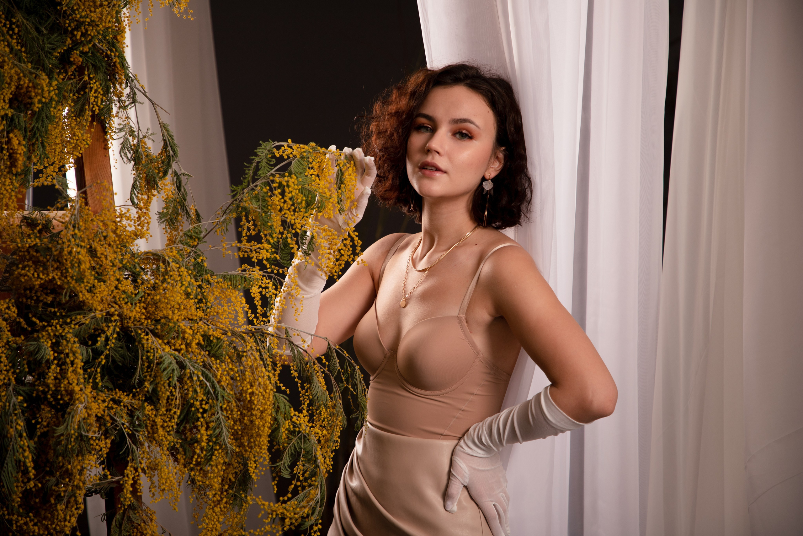 Мимозы. Фотограф Алексей Шуля — портфолио