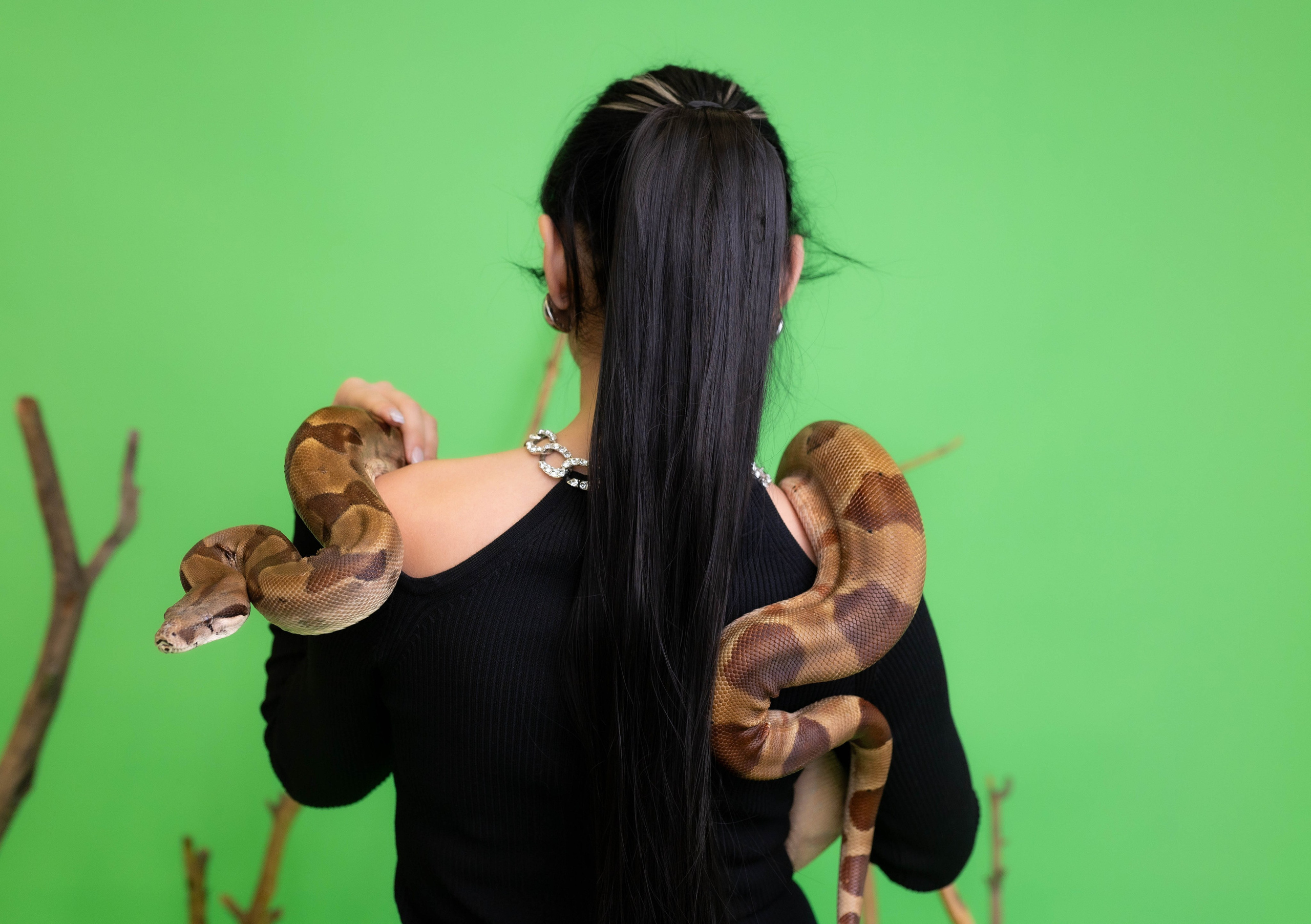 Фотосессии со змейкой. Свадебный и семейный фотограф Виолетта в Липецке