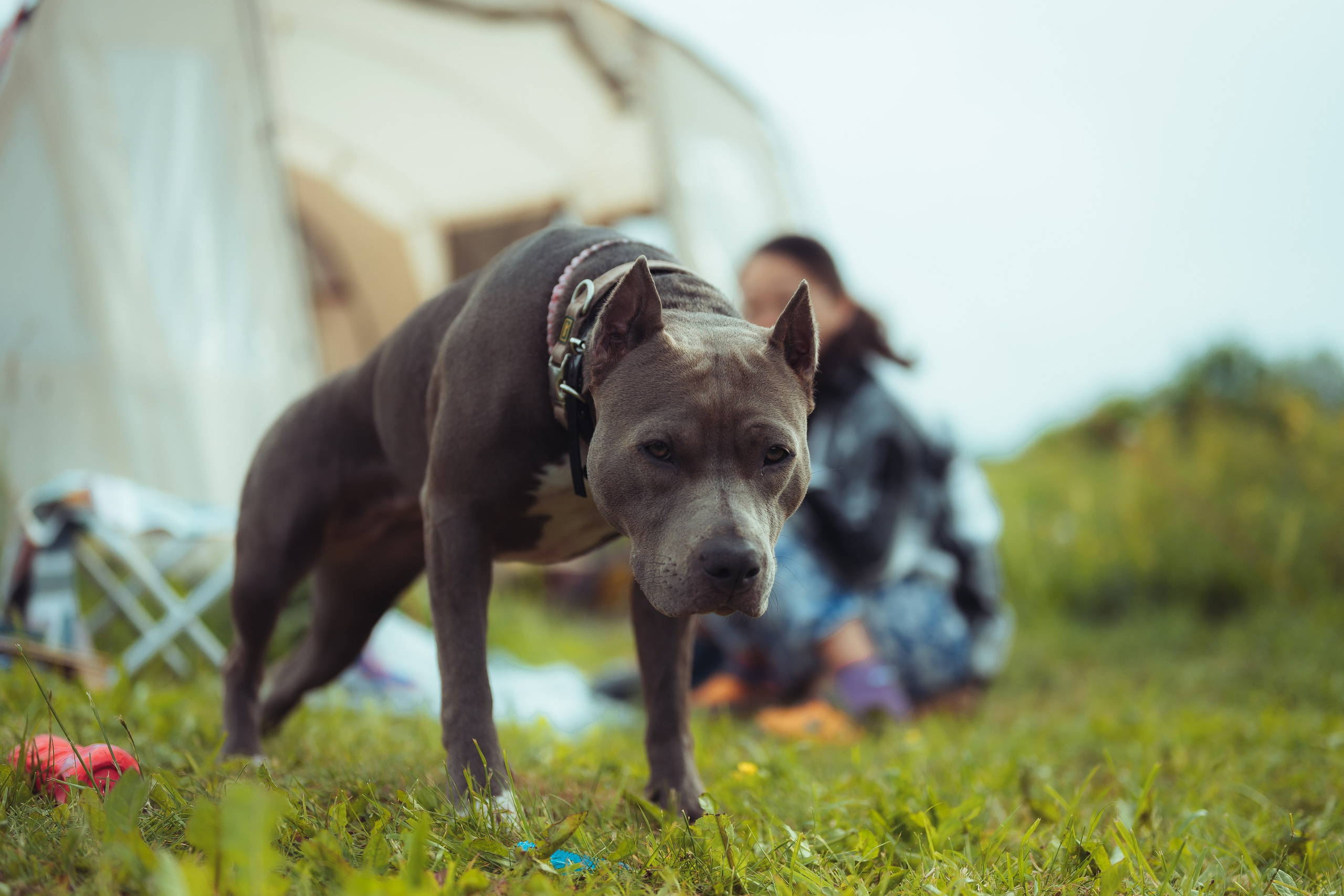 Детский лагерь — 1 смена 2025 год. Иван Кубик — фотограф и видеограф