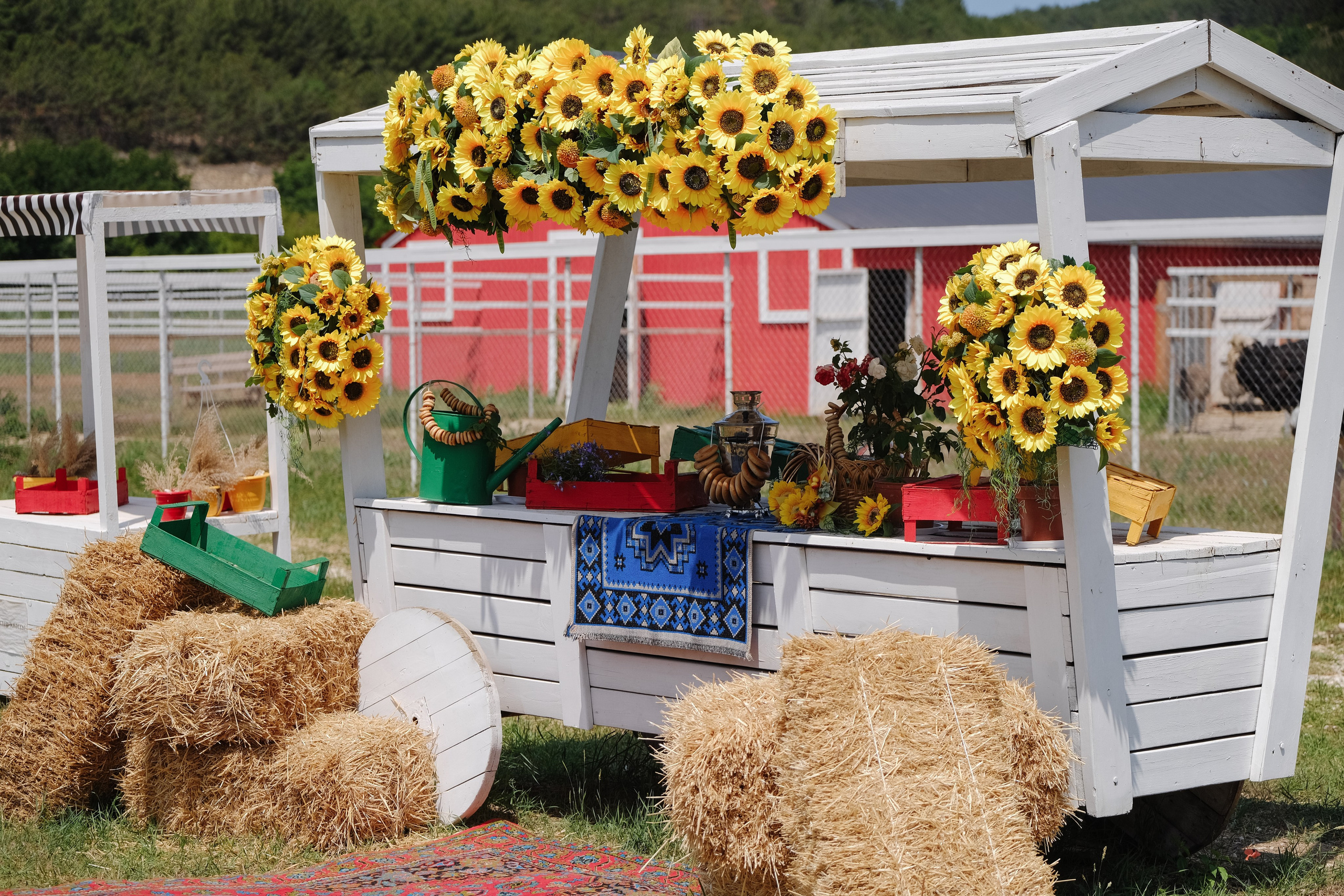 Репортаж на ферме. Профессиональная фотосъемка в Крыму. Натуральные эмоции и живые кадры. Забронируйте дату прямо сейчас!