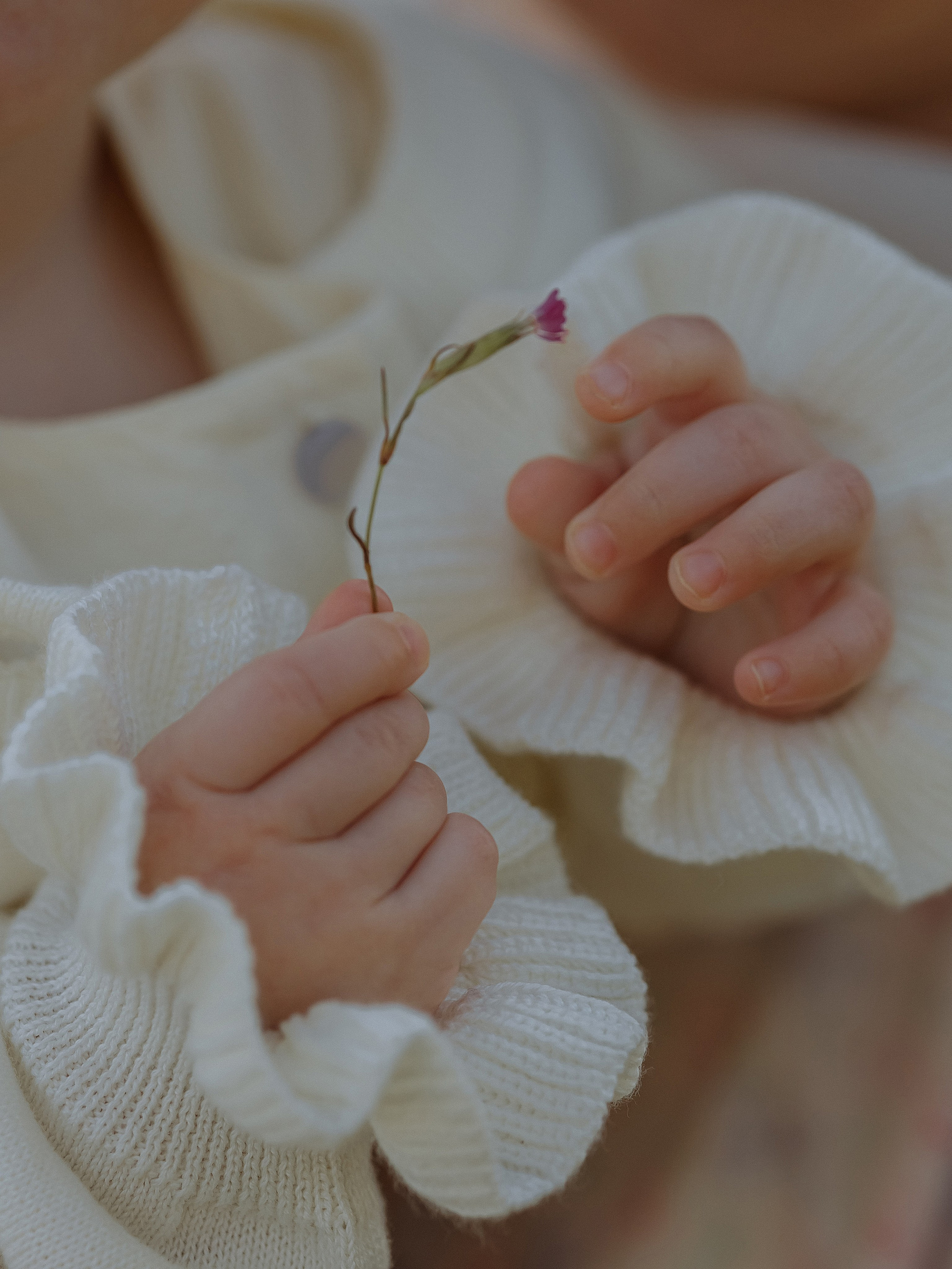 Одним прекрасным днем. Фотограф семейный, Венчания Крещения Пятигорск Новопавловск КМВ