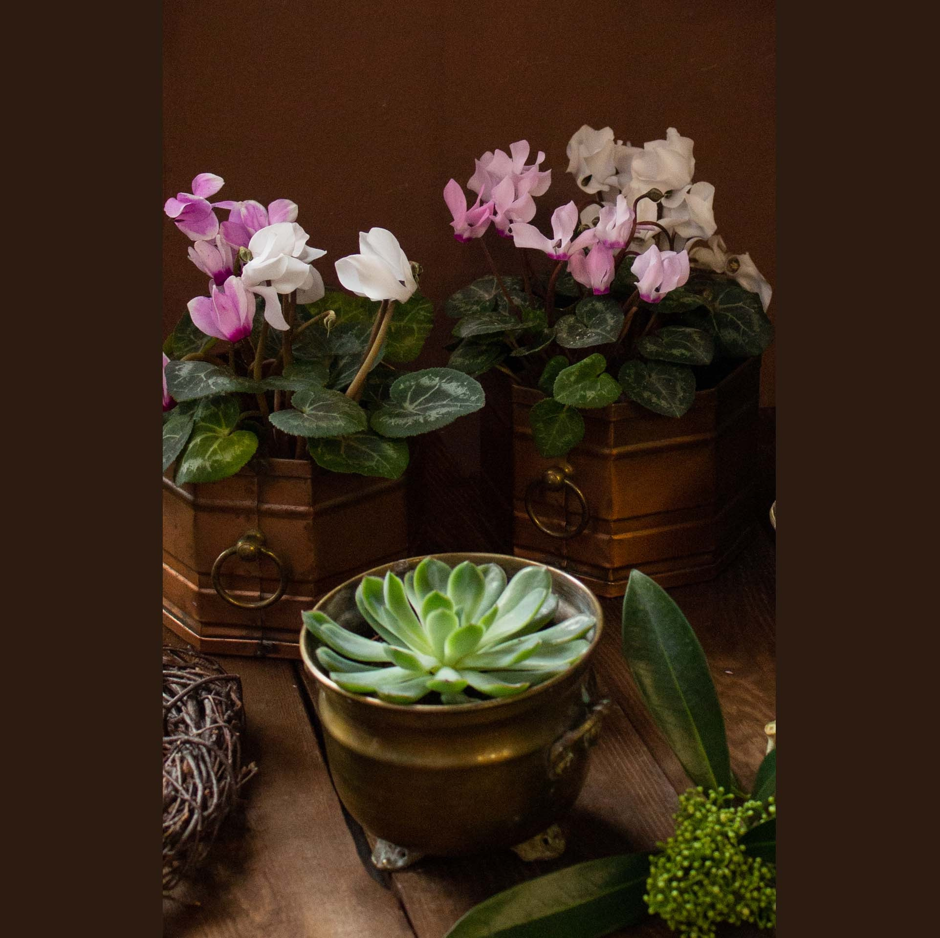 Семейный и детский фотограф в Ярославле