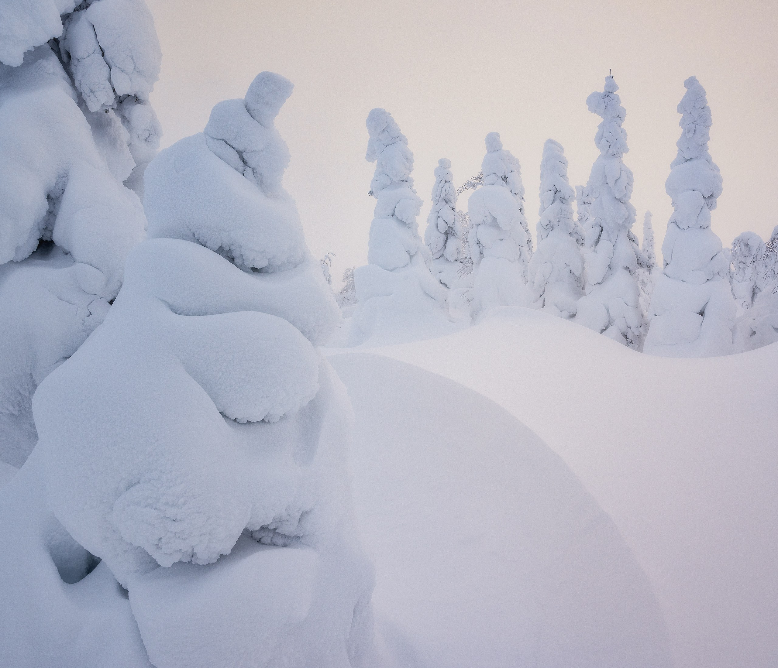 Главный Уральский Хребет. Россия, ⁨Главный Уральский хребет, Северный Урал, ⁨январь 2025 г.