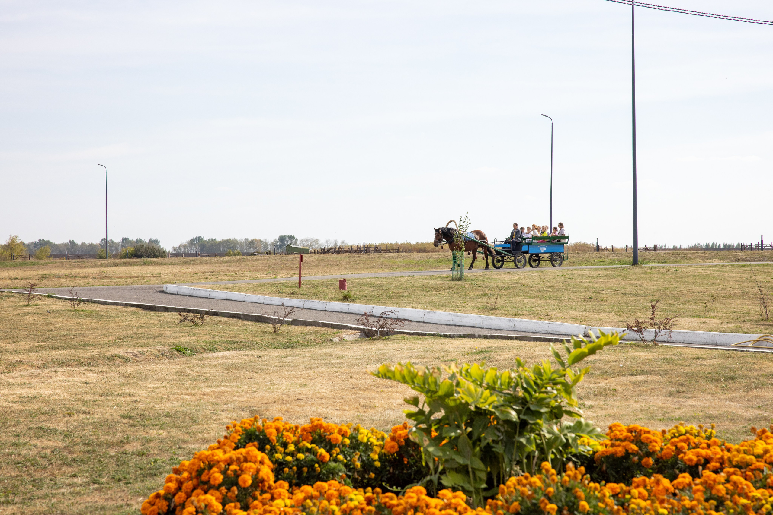 Поездка на поле Кулеково. Фотограф в Туле Крупский АнДРей. Фотостудия «КАДР71» в Туле