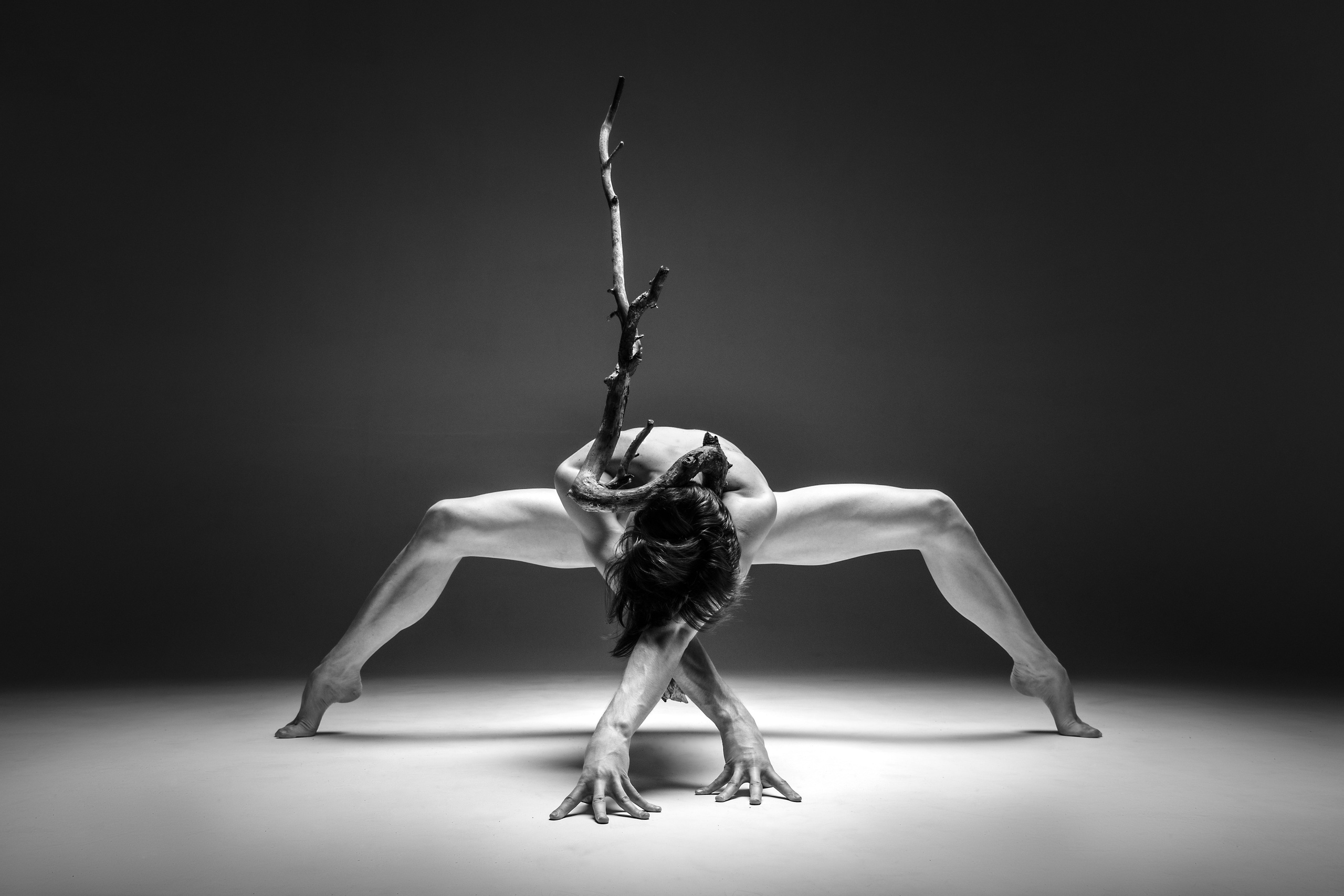 Алиса Тикстон — Балетный и портретный фотограф в Петербурге и Москве