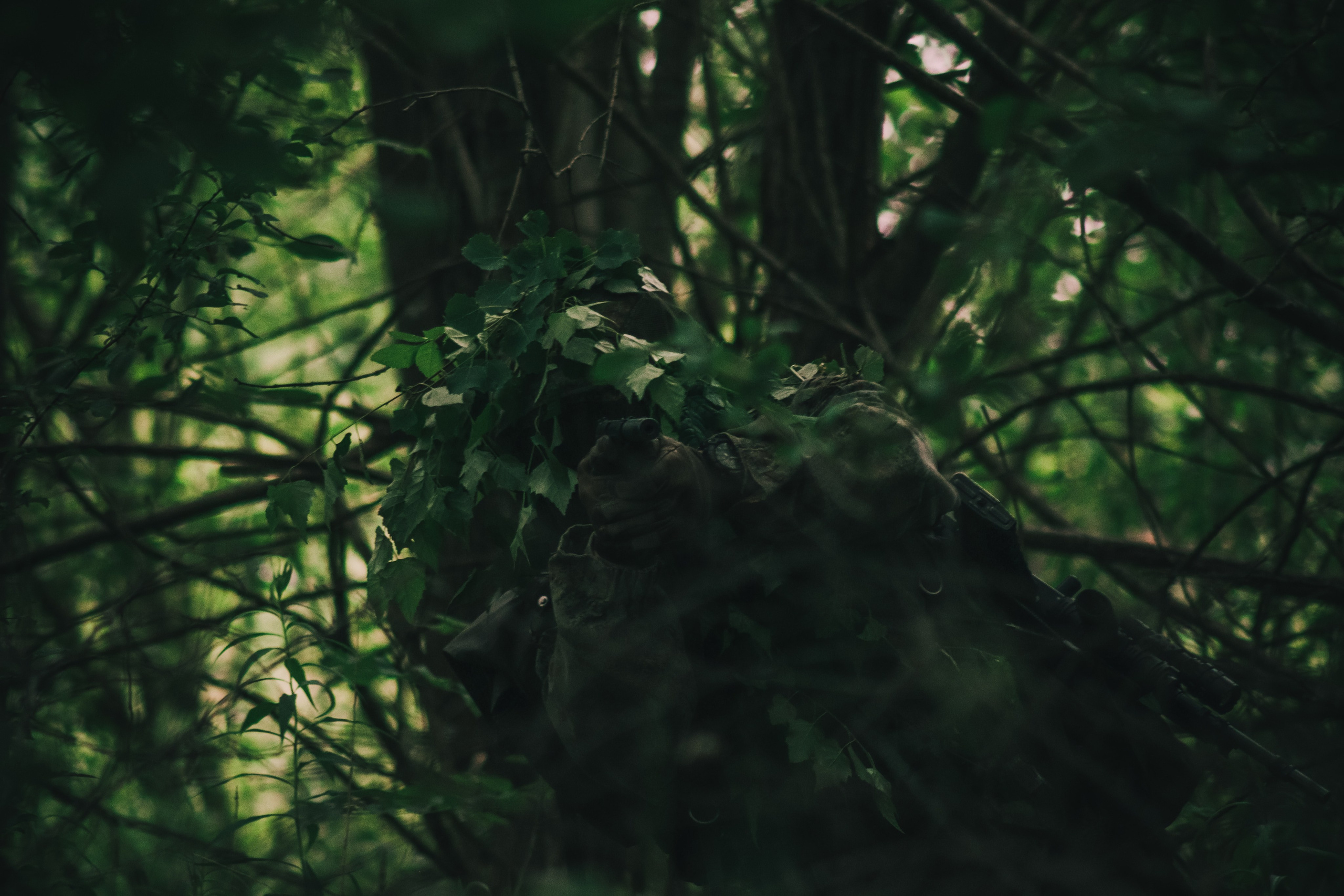 Никита П. (Лесной Массив). — Digital Noise —