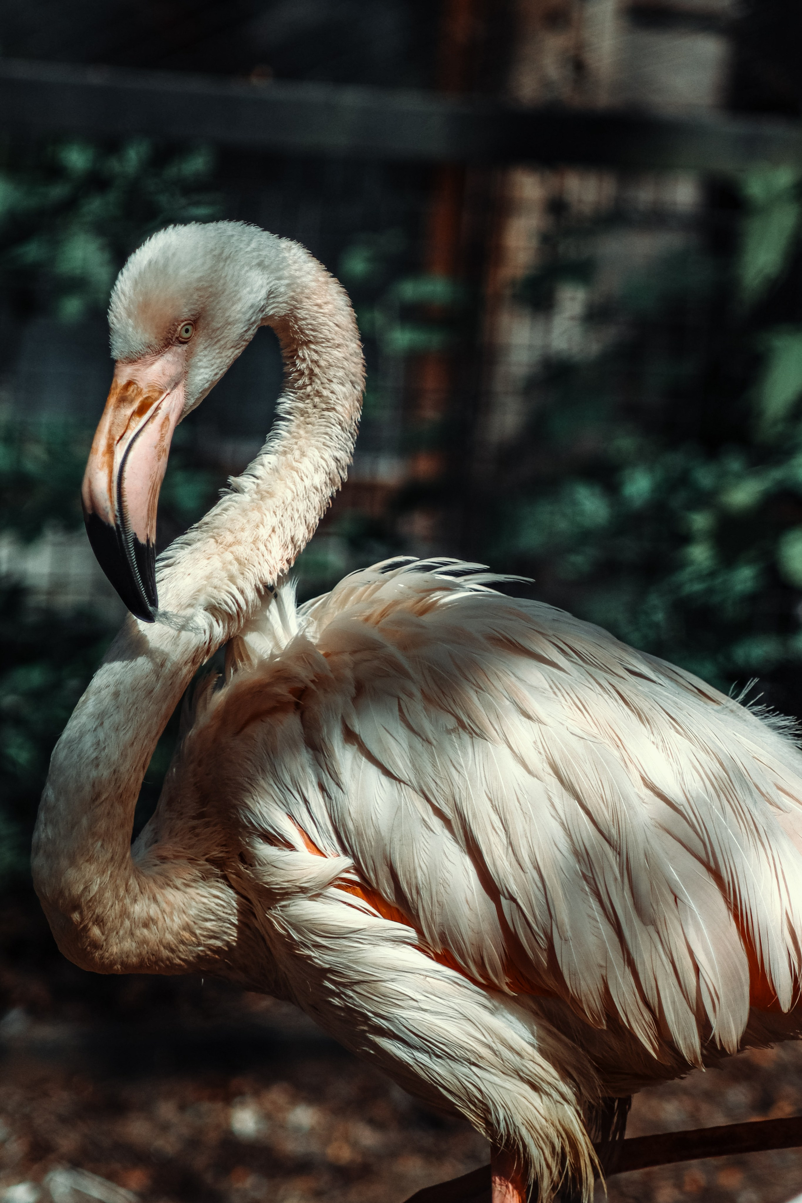 Р А З Н А Я — Ж И В Н О С Т Ь. — Digital Noise —