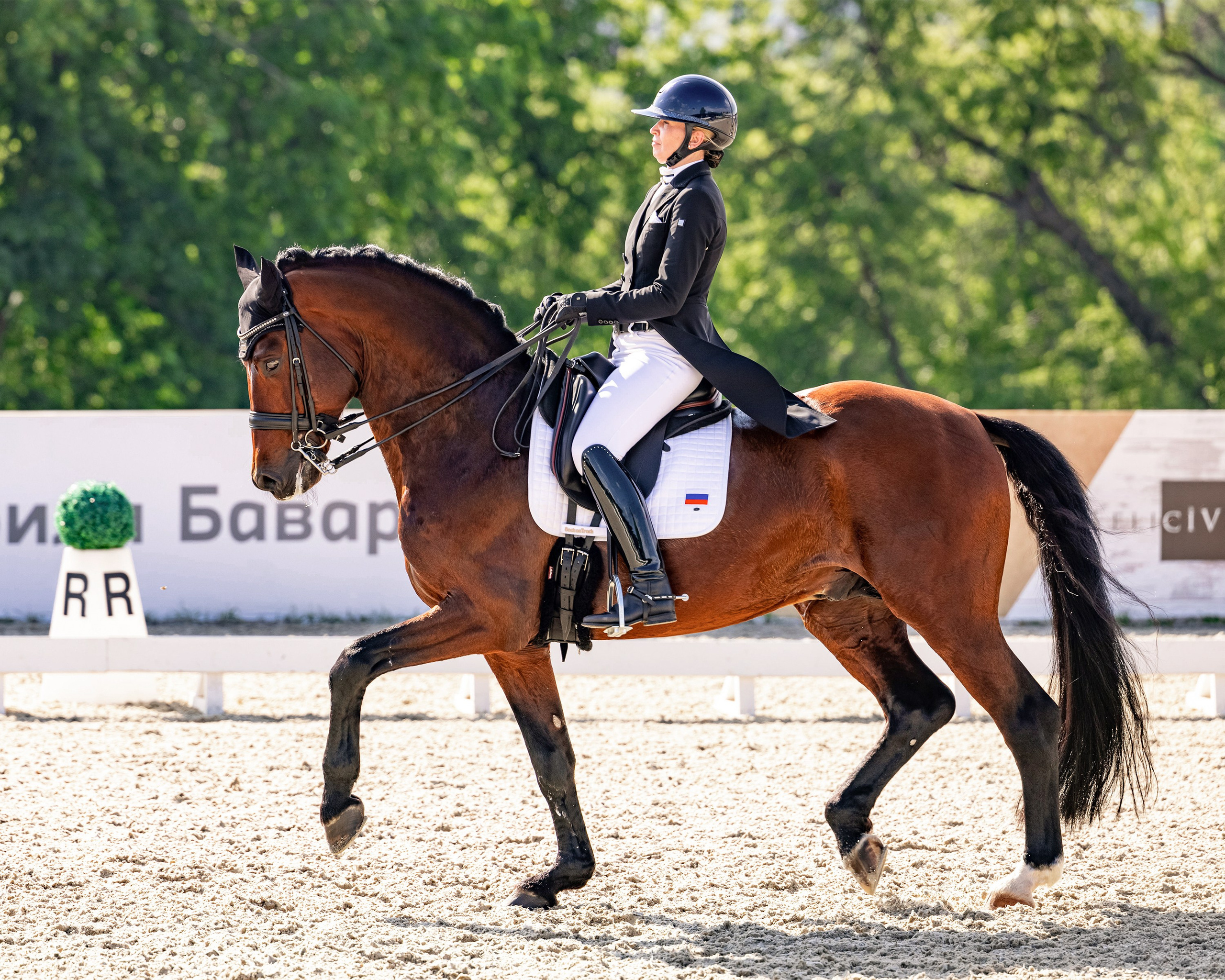 Выездка. Mrs.Aquarelia Конный фотограф Марианна Леонтьева