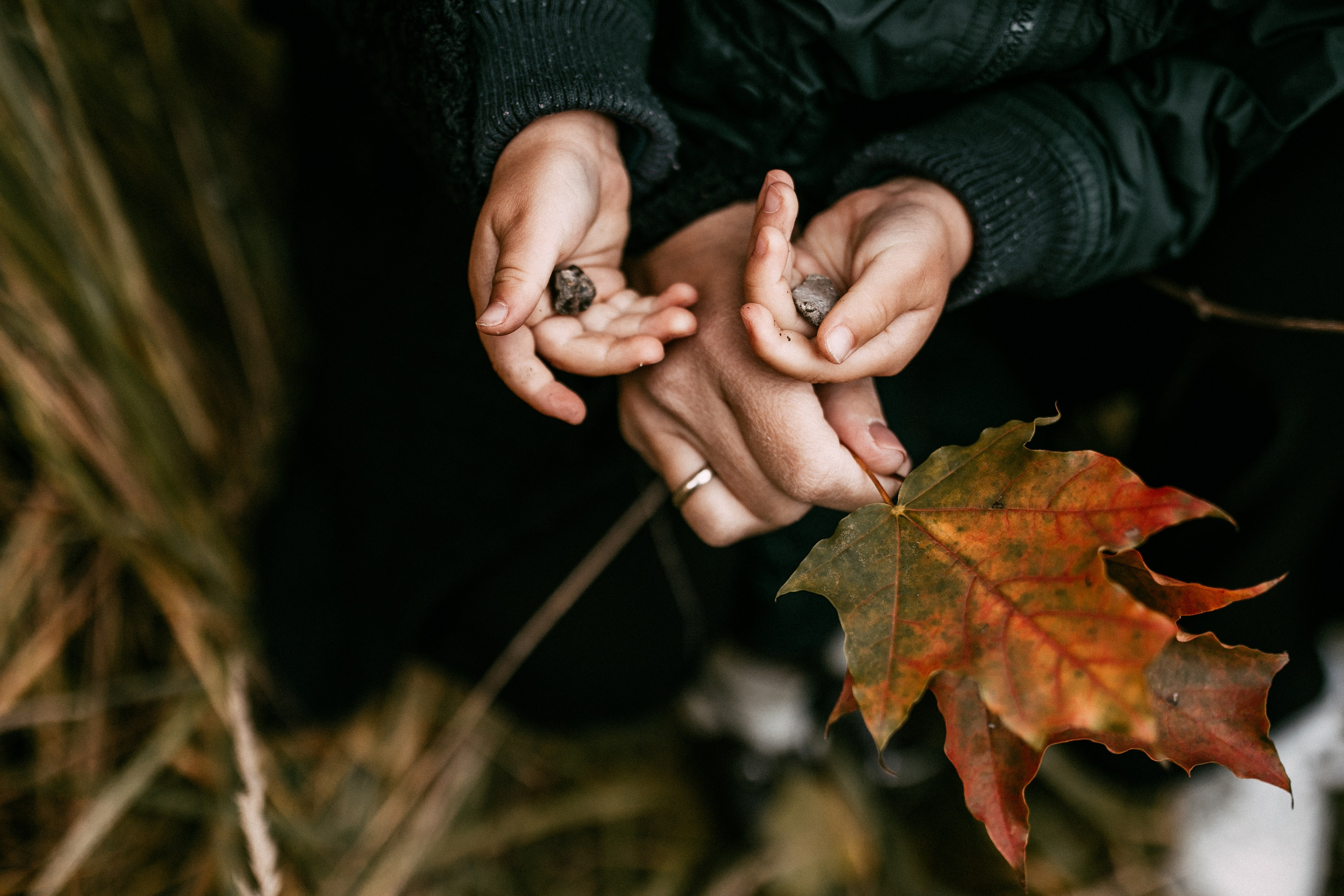 Осенняя семейная фотосъемка. Фотограф Лебедева Наталья