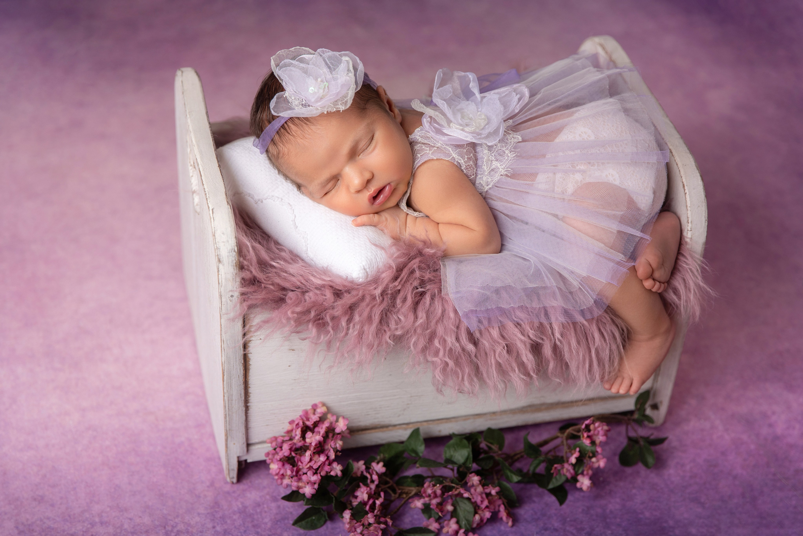 Lavender. Фотограф новорожденных, семейный фотограф в Санкт-Петербурге