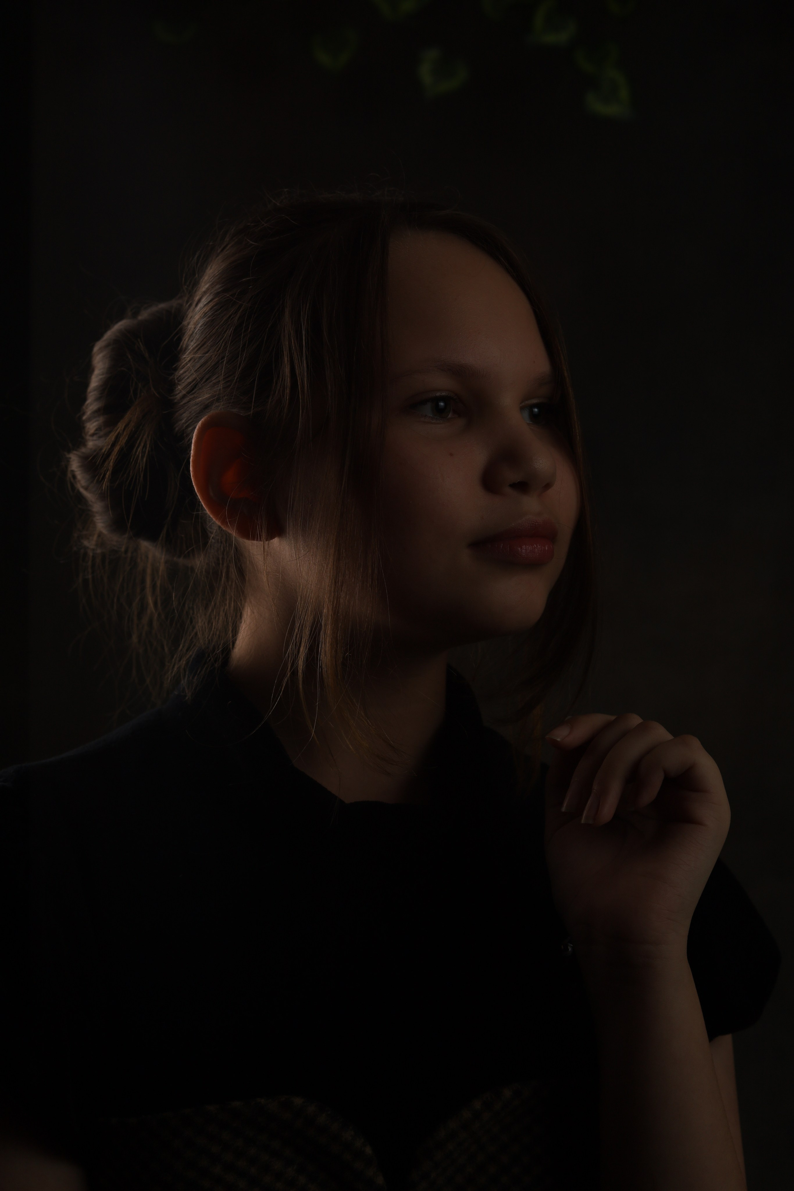 Студийная съемка. Женский портрет. Портфолио