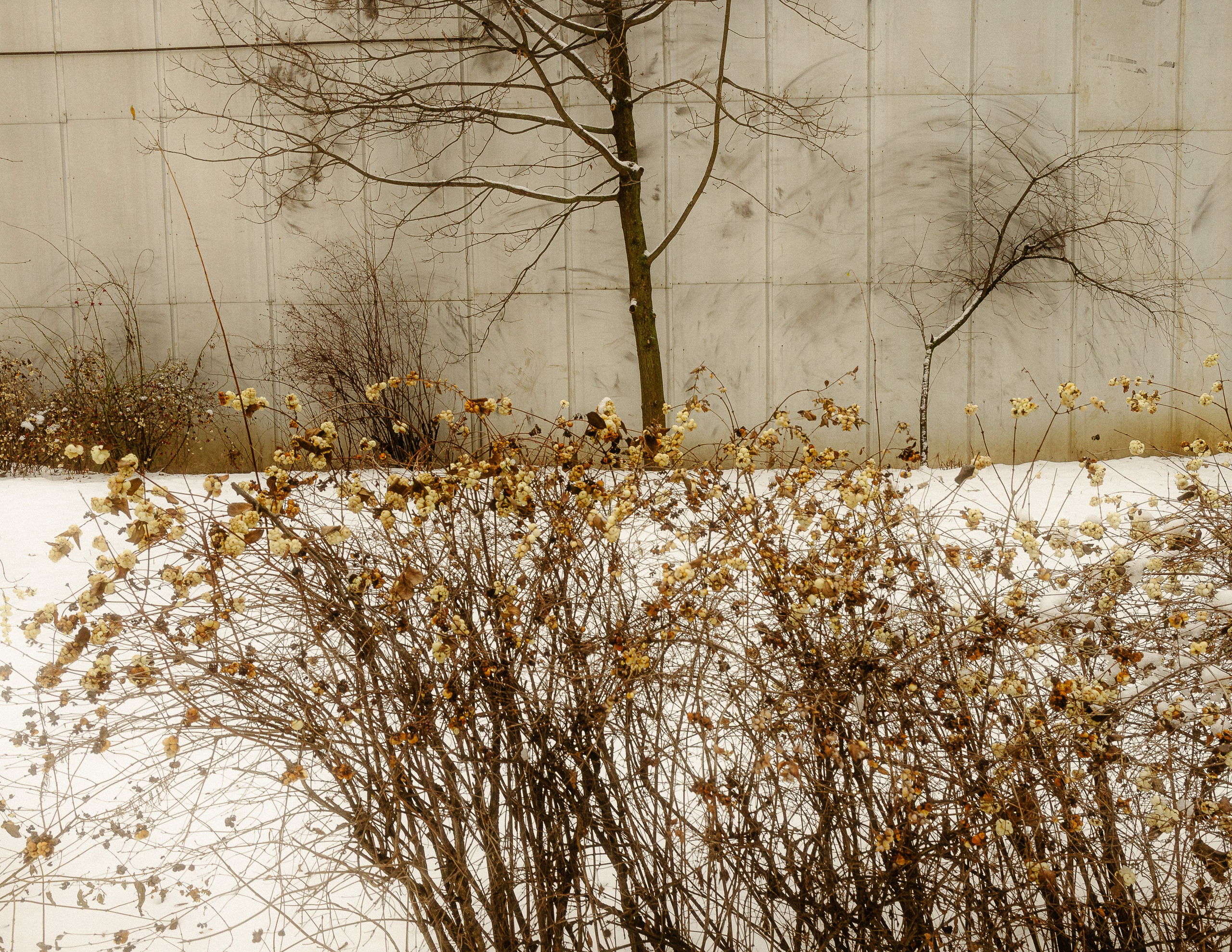 Саша Ковальчук — Репортажный Фотограф