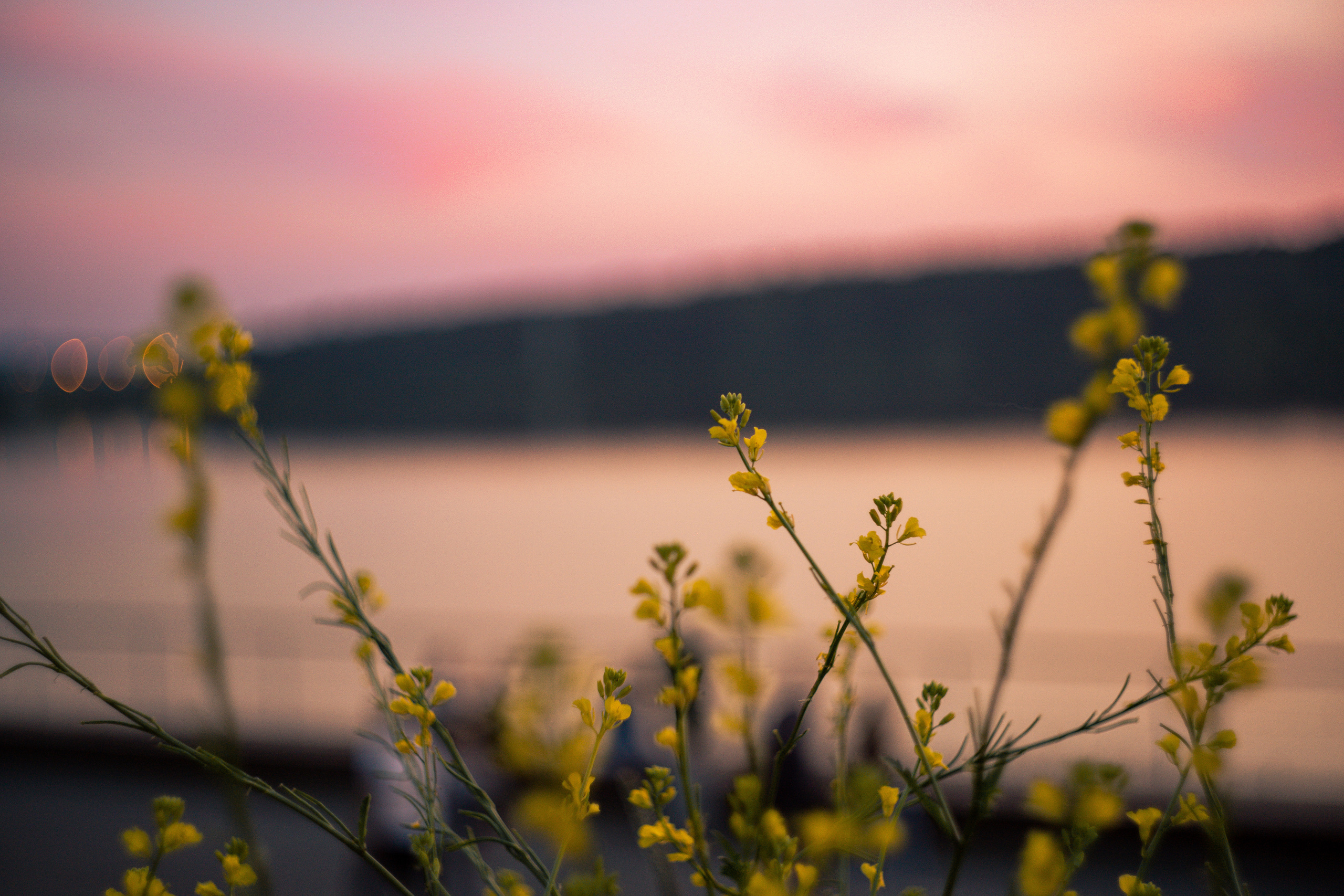 Портретная фото-сессия Виктории в Калуге