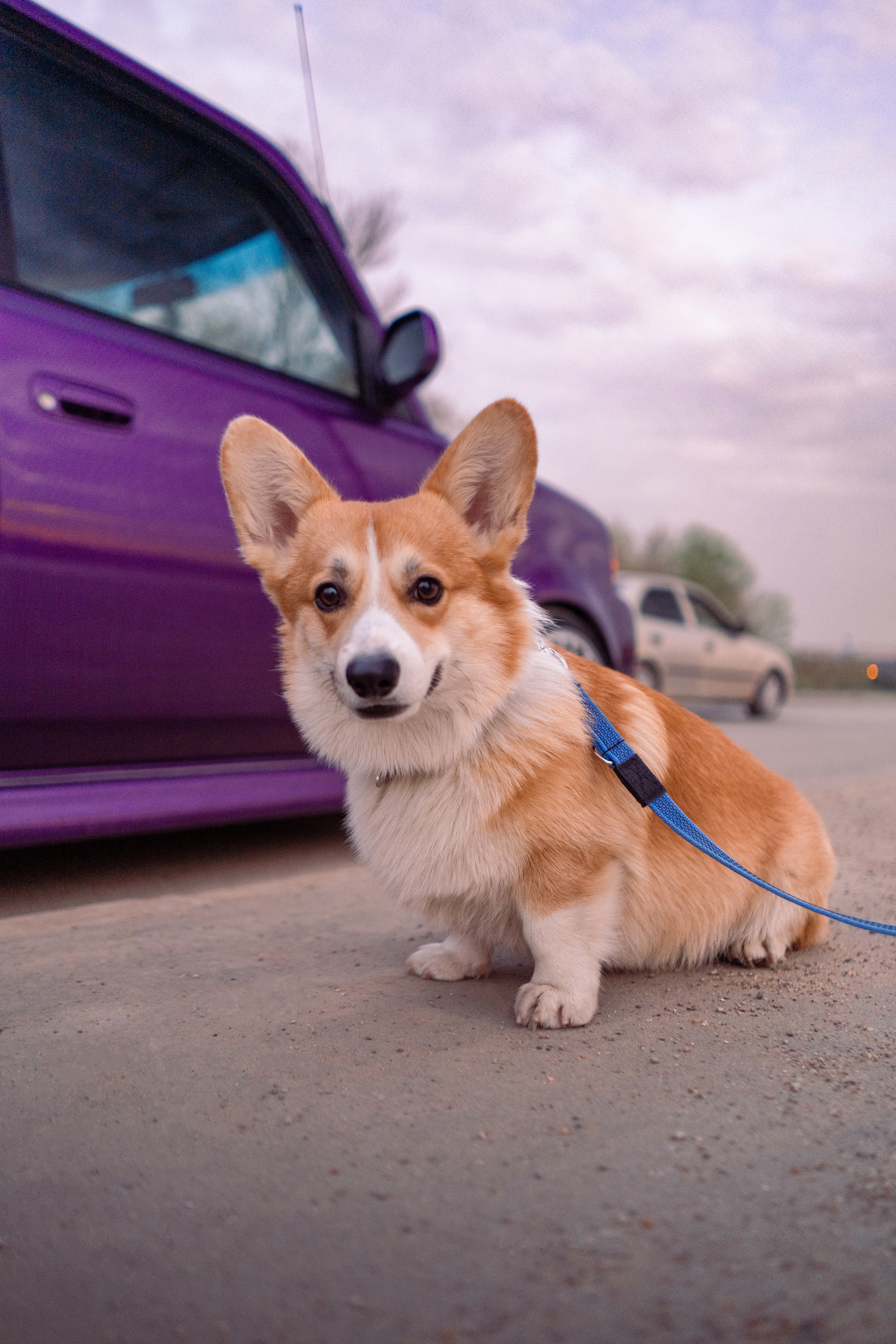 Автомобильная фото-сессия Toyota BB в Калуге