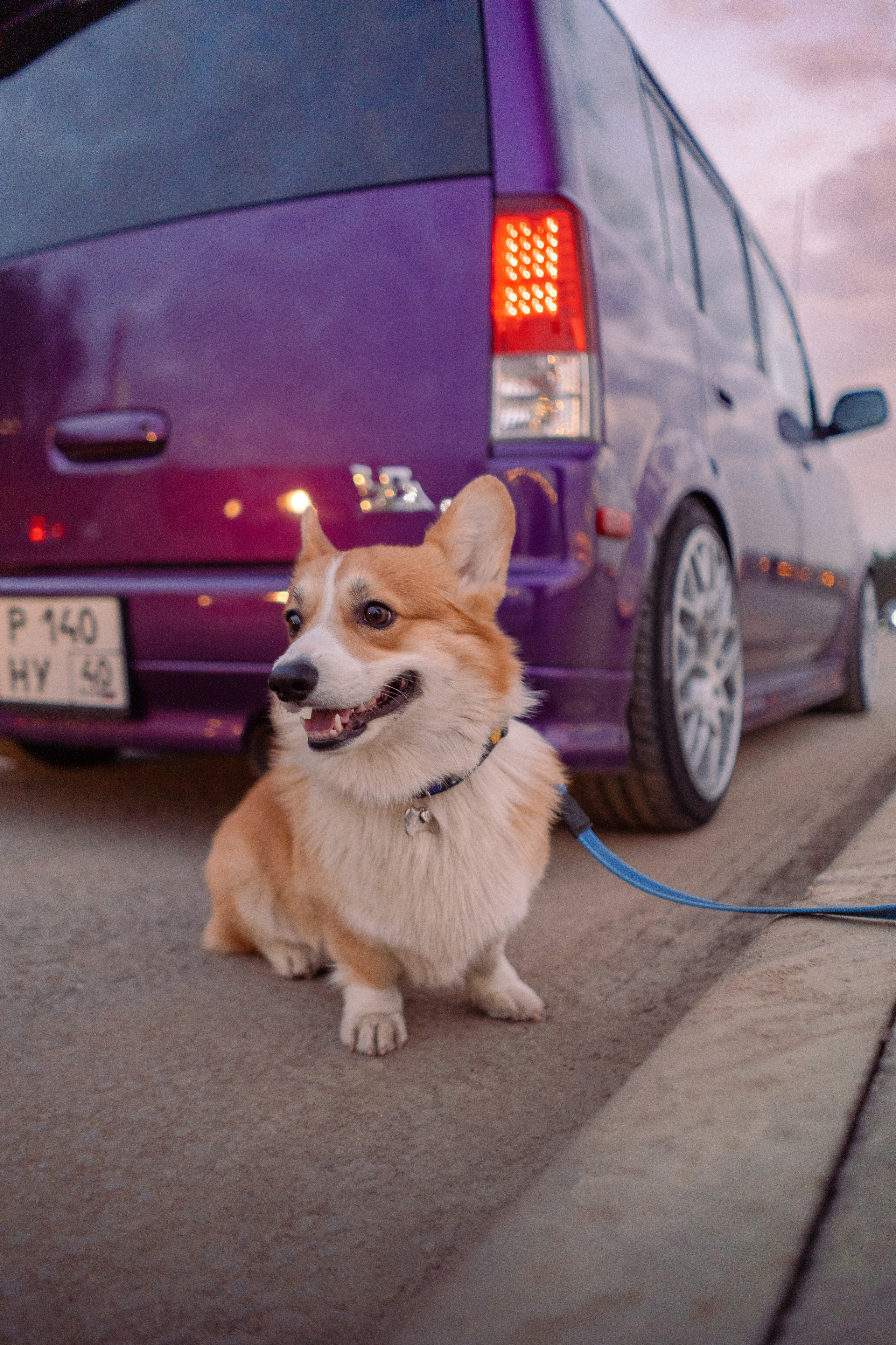 Автомобильная фото-сессия Toyota BB в Калуге