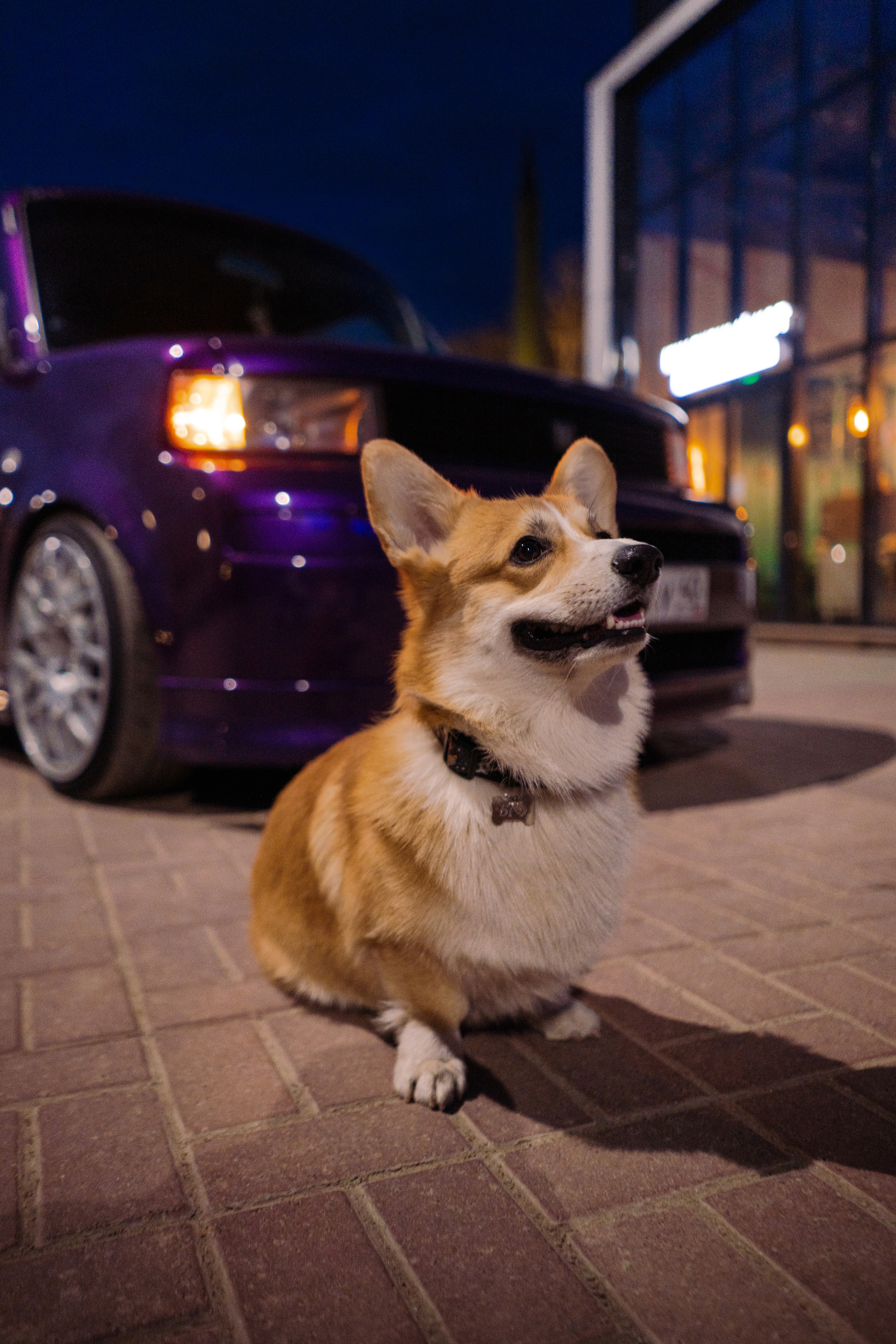 Автомобильная фото-сессия Toyota BB в Калуге