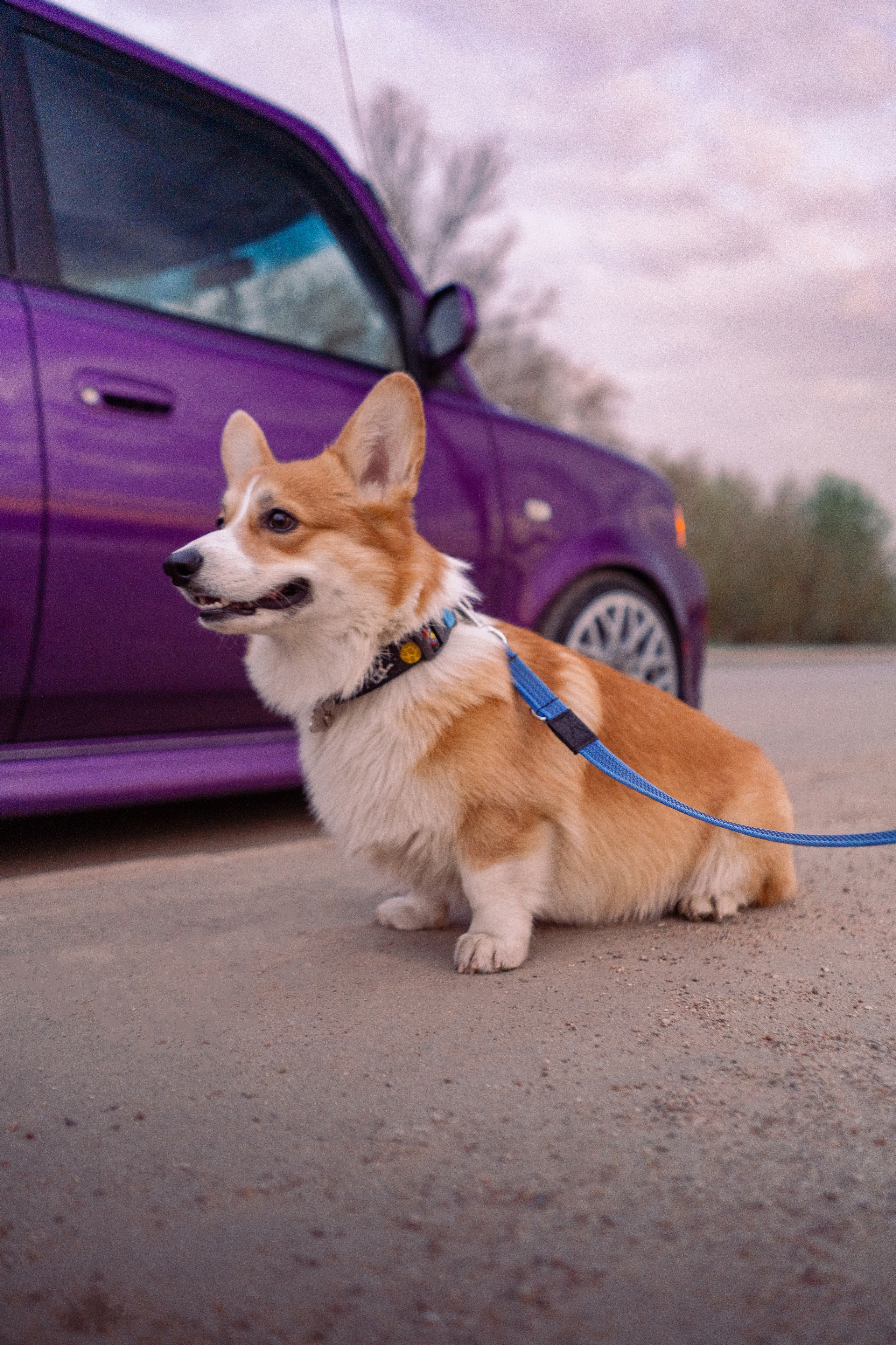 Автомобильная фото-сессия Toyota BB в Калуге