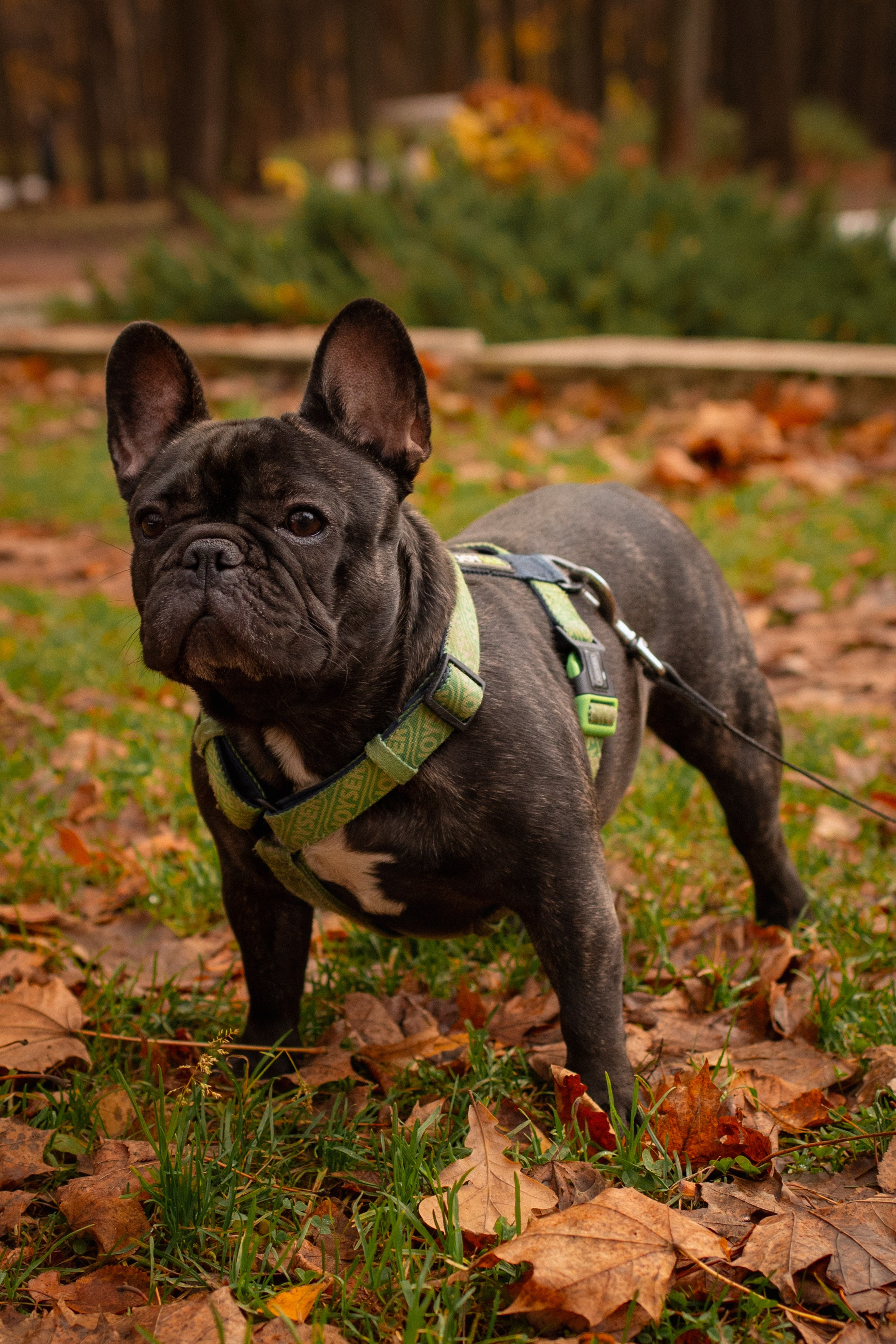 Альбом1. Фотограф Мария Сургаева | Профессиональная фотосъемка в Москве