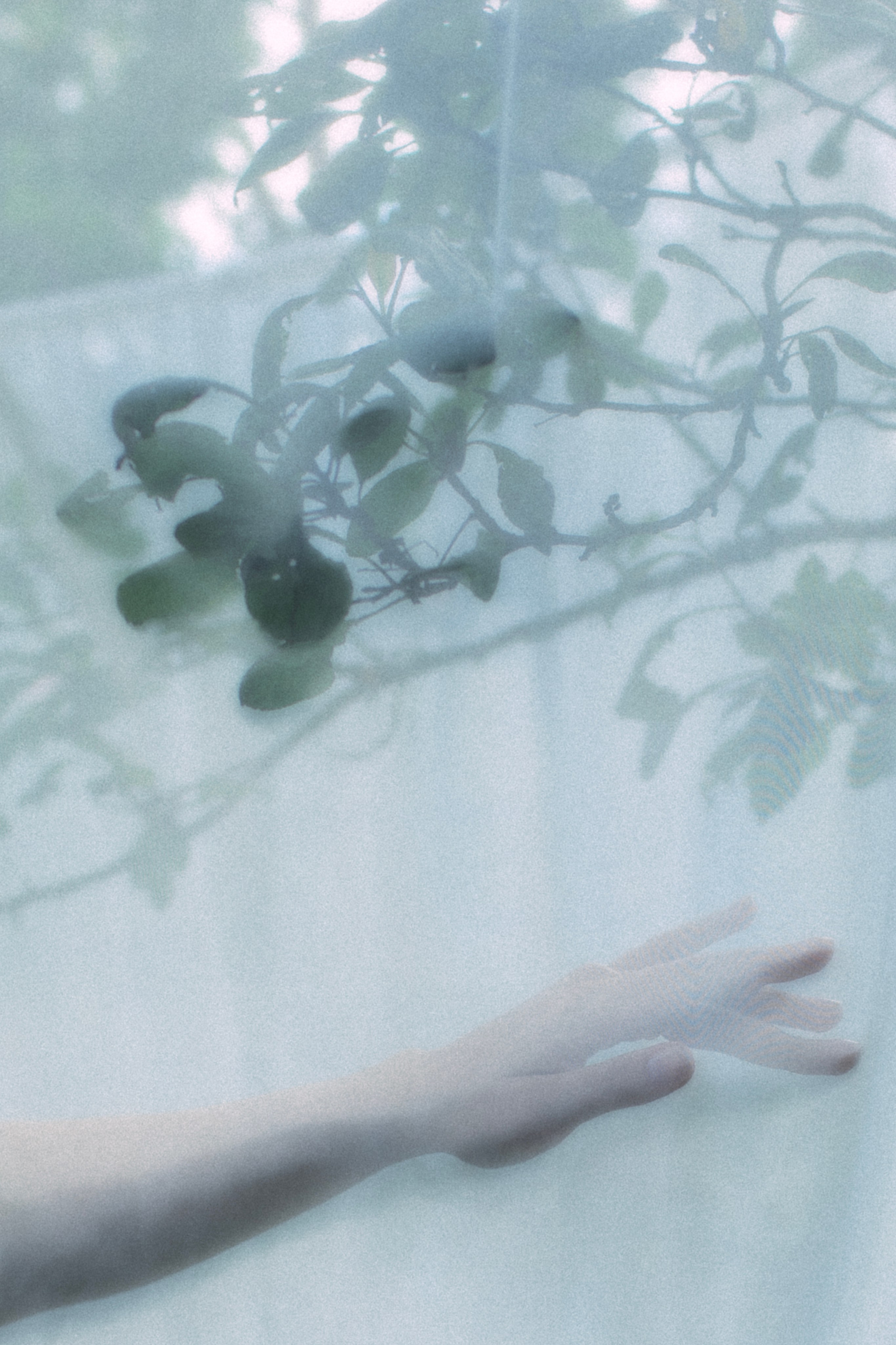 Alice in wonderland. Фотограф Вика Йодль